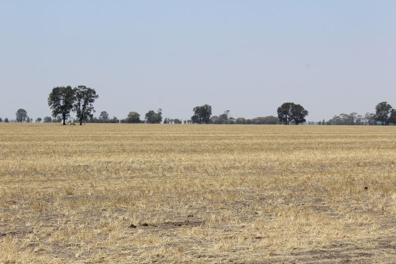 '' Kyona", Moree NSW 2400, Moree - Thumbnail 2