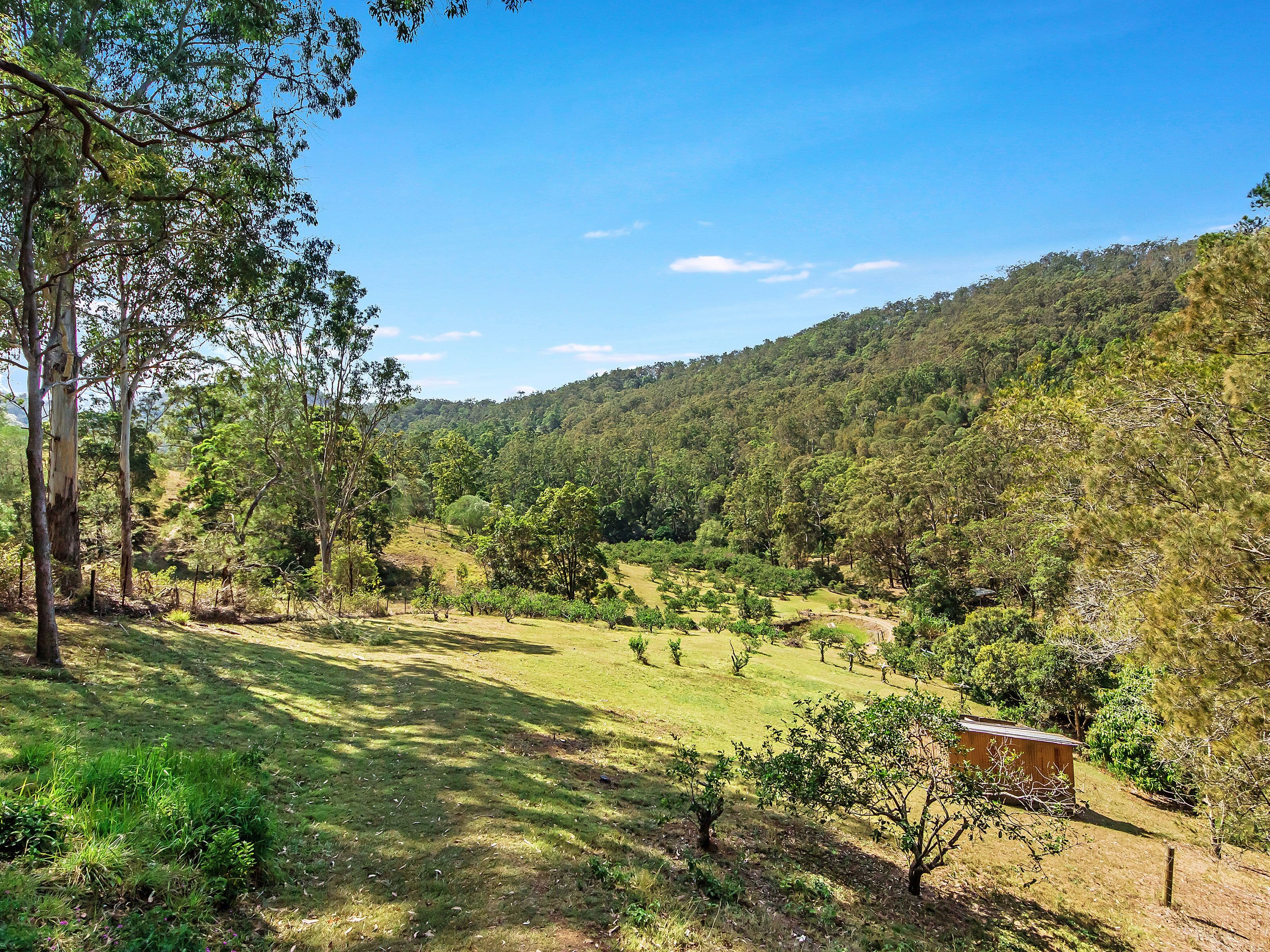 44 Elevation Drive, Wongawallan QLD 4210, Wongawallan - Thumbnail 6