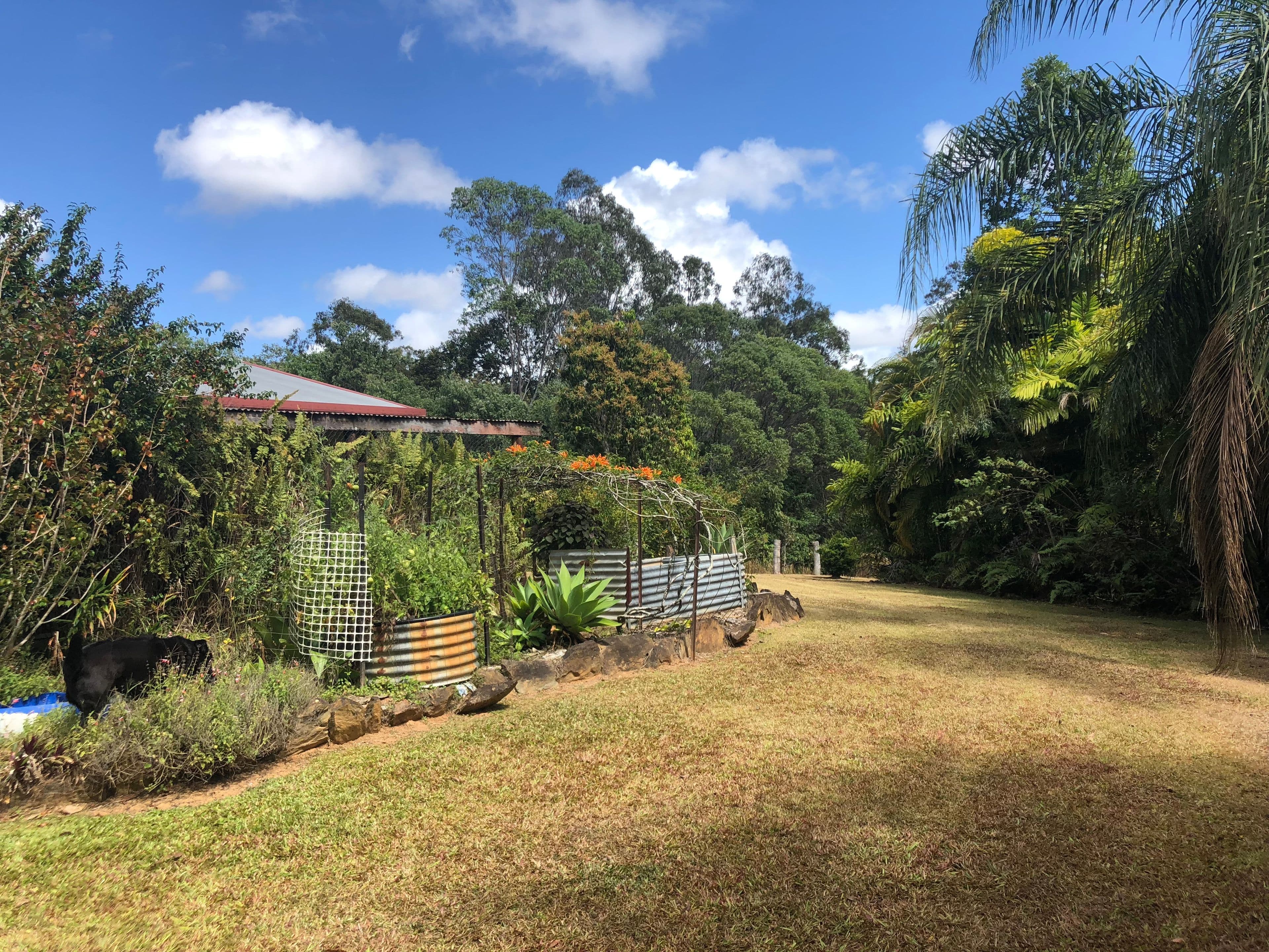 4163 Black Mountain Road, Julatten QLD 4871, Julatten - Thumbnail 2