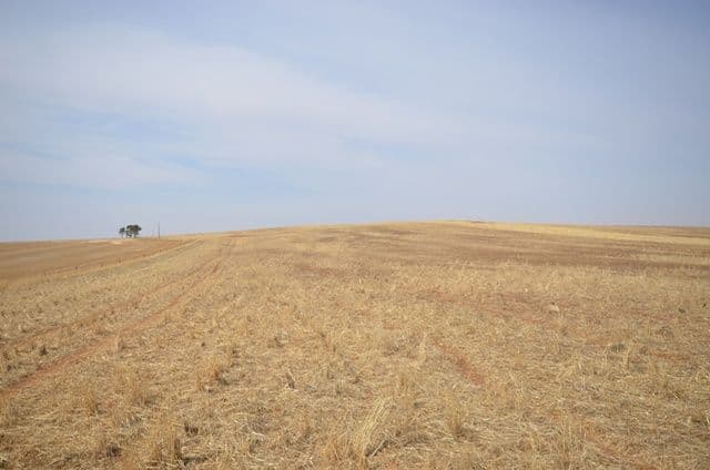 2 Lots RM Williams Highway, Andrews SA 5454, Andrews - Thumbnail 2