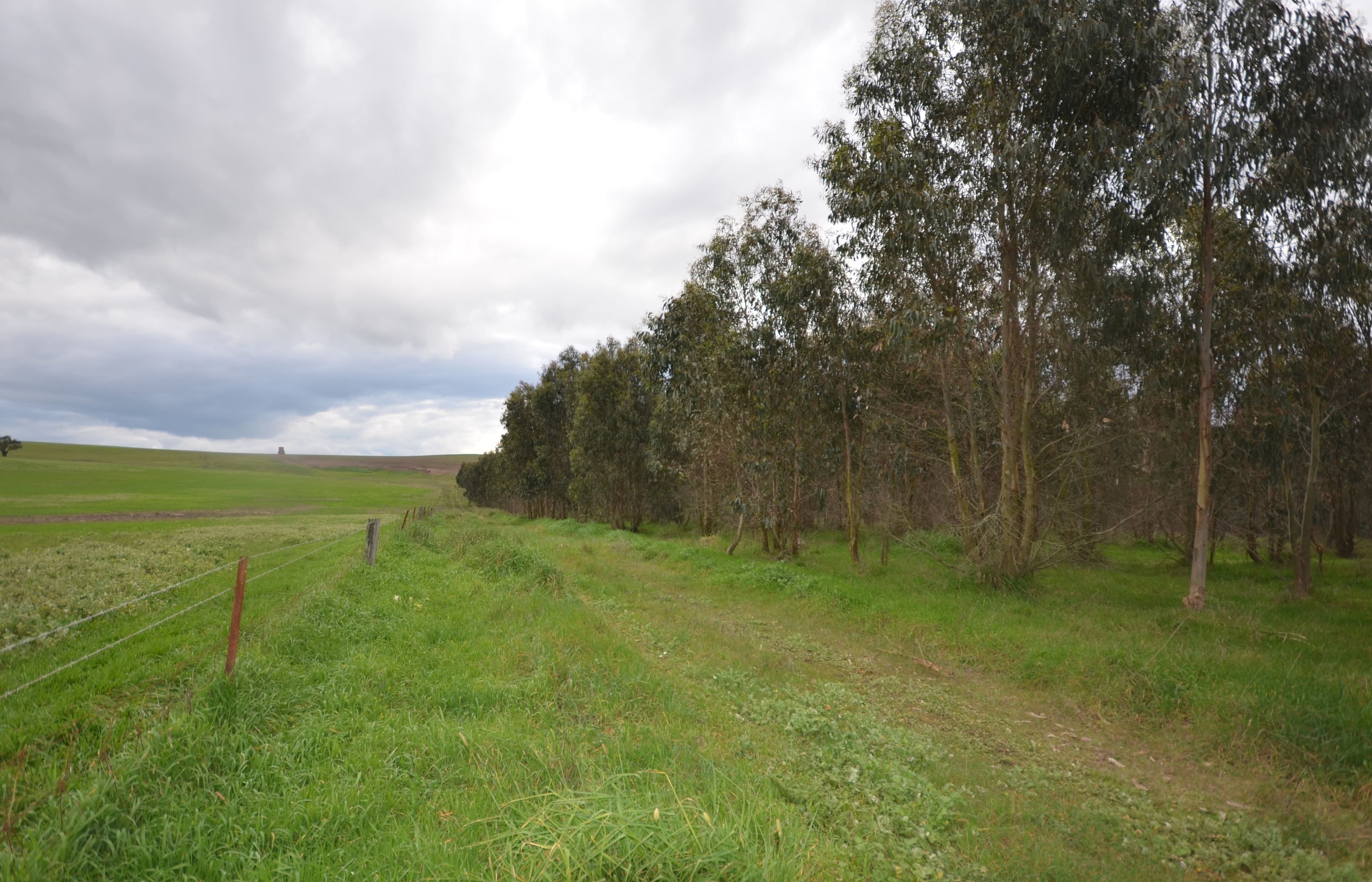 CA 46 Moreton Hill Road, SKIPTON VIC 3361, Skipton - Thumbnail 5