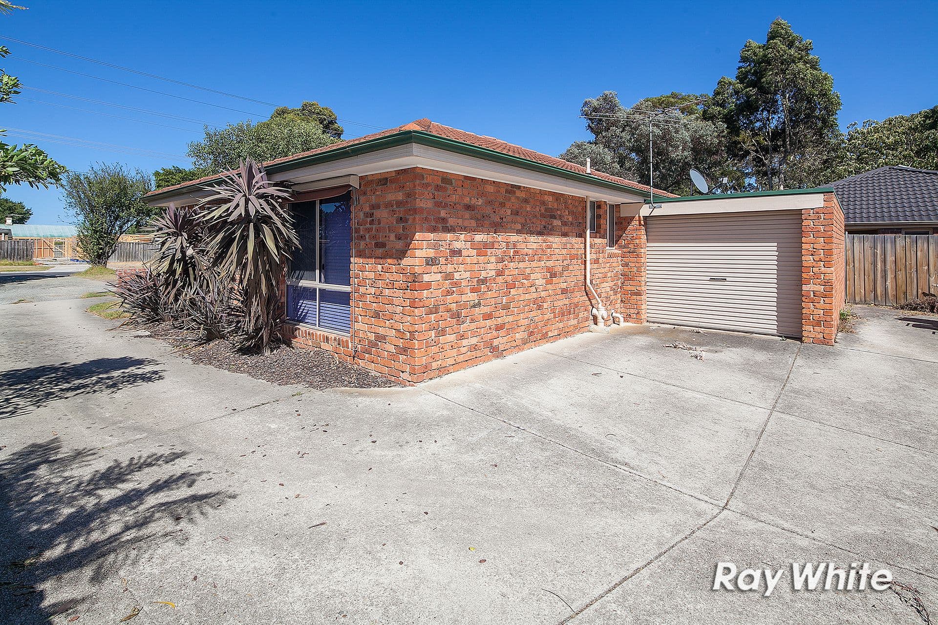 169 North Road, Langwarrin VIC 3910, Langwarrin - Thumbnail 2