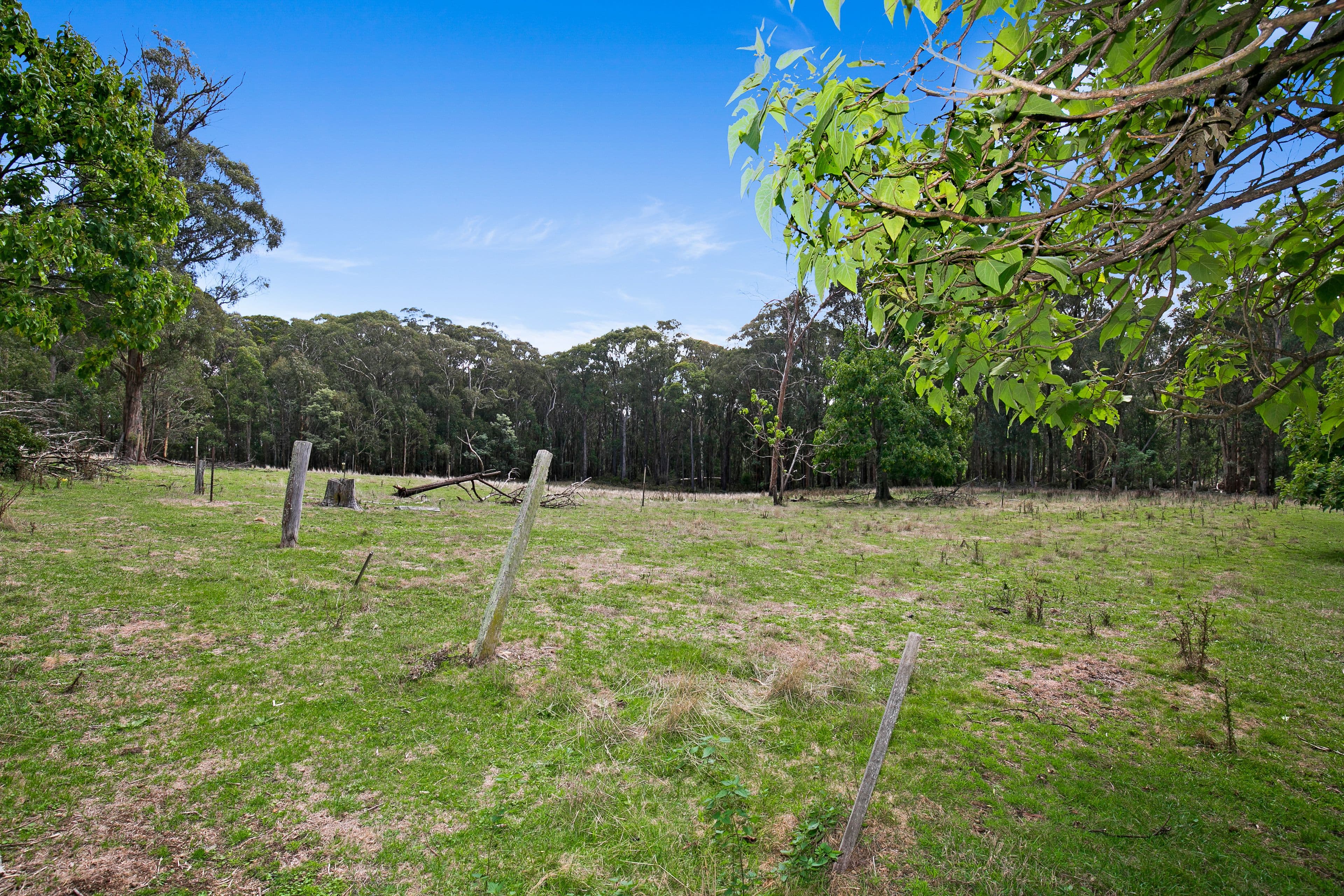 144 Koolkuna Road, Niangala NSW 2354, Niangala - Thumbnail 2