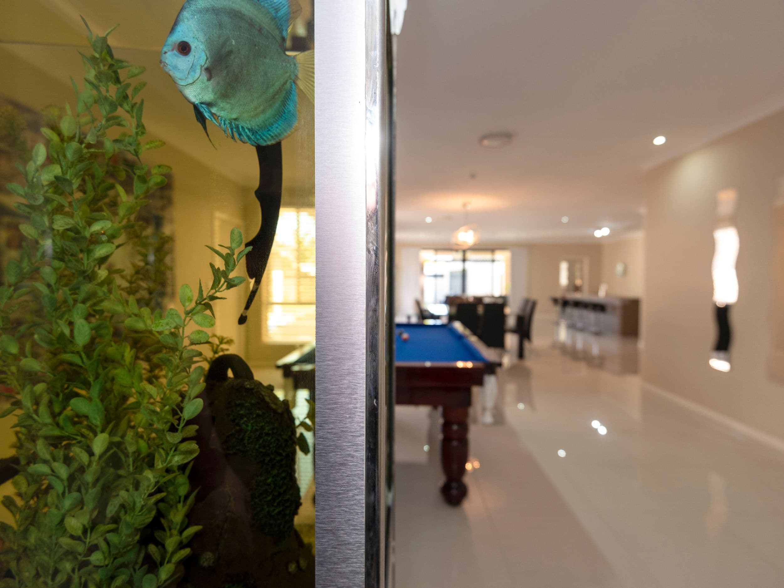 5 Melaleuca Court, Caniaba NSW 2480, Caniaba - Thumbnail 6