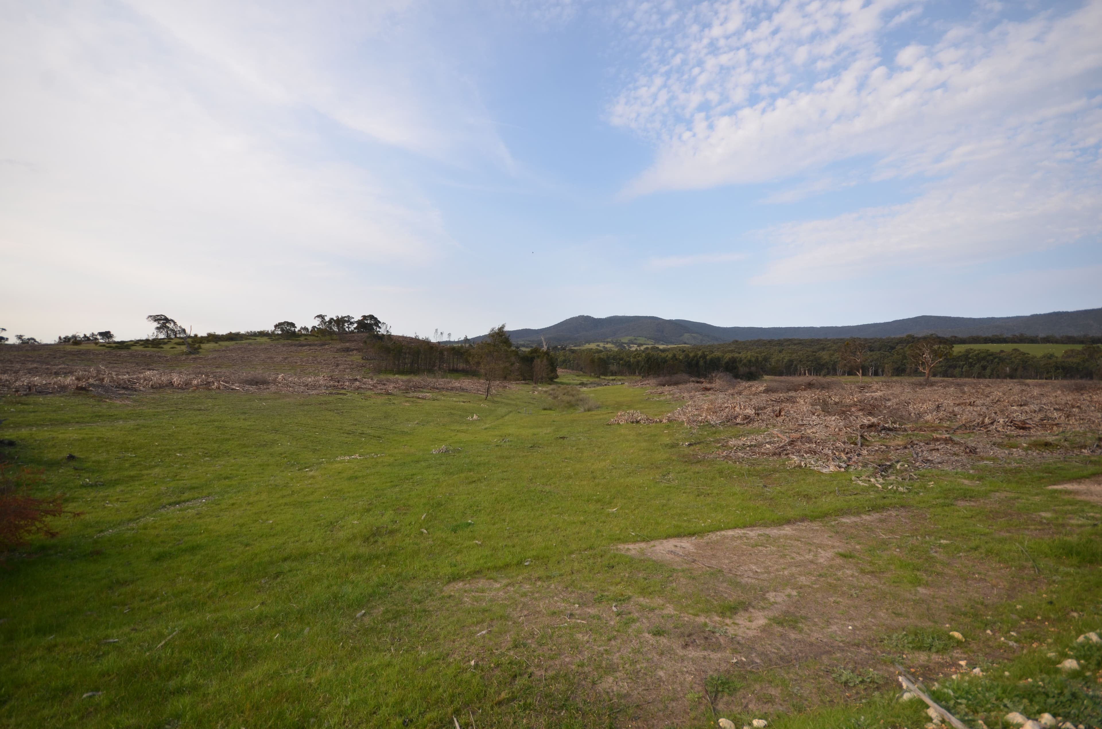Pilgrim South Buangor - Ben Nevis Road, WARRAK VIC 3377, Warrak - Thumbnail 6