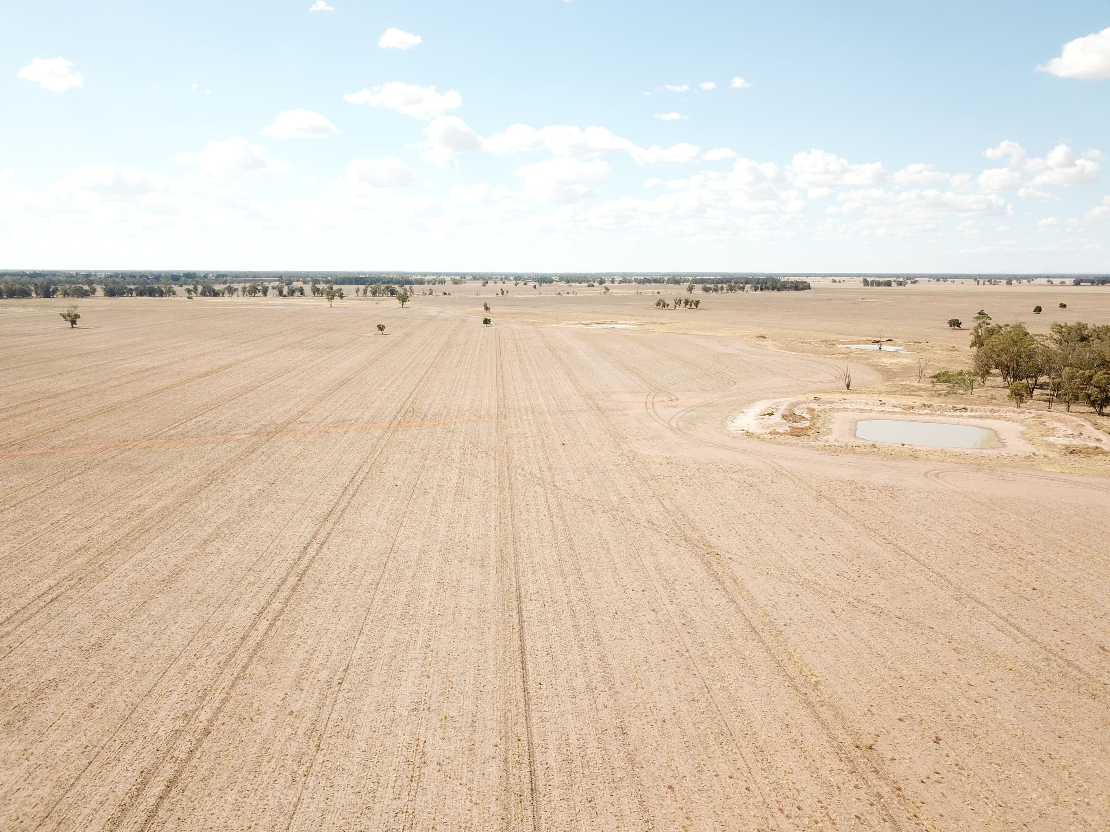 Pett's Block, Pineview Road, NARROMINE NSW 2821, Narromine - Thumbnail 2
