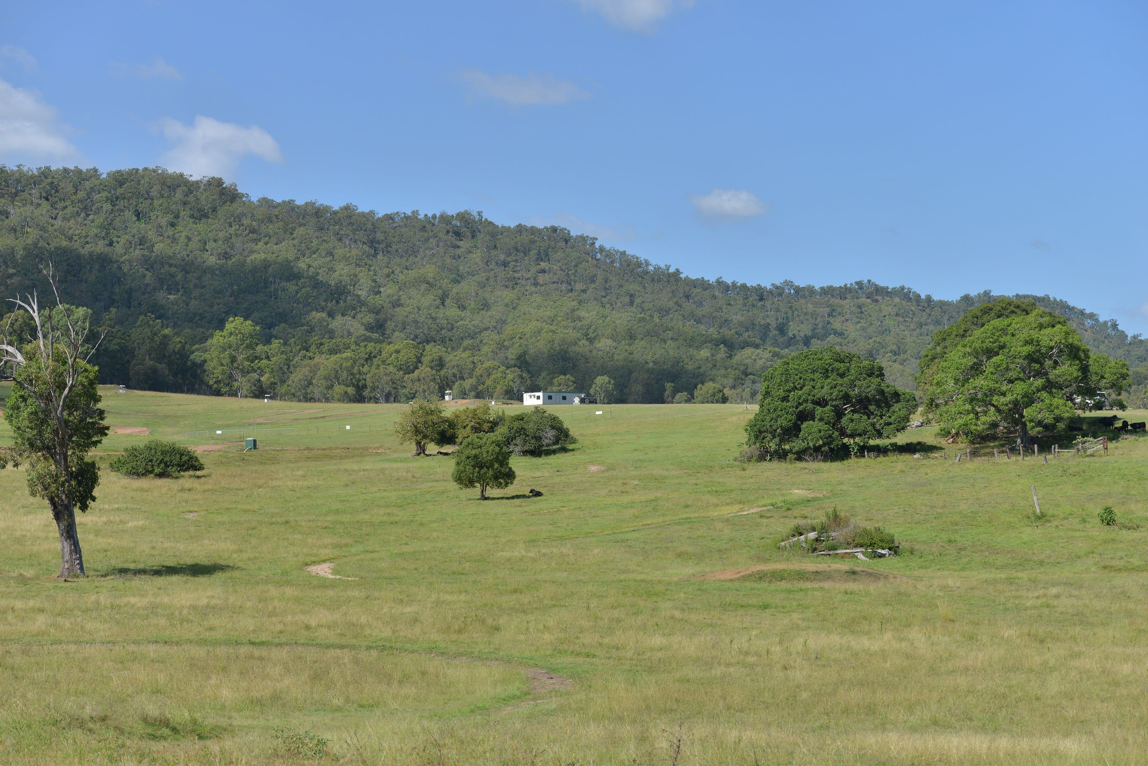 51 Spengler Road, Tabragalba QLD 4285, Tabragalba - Thumbnail 6