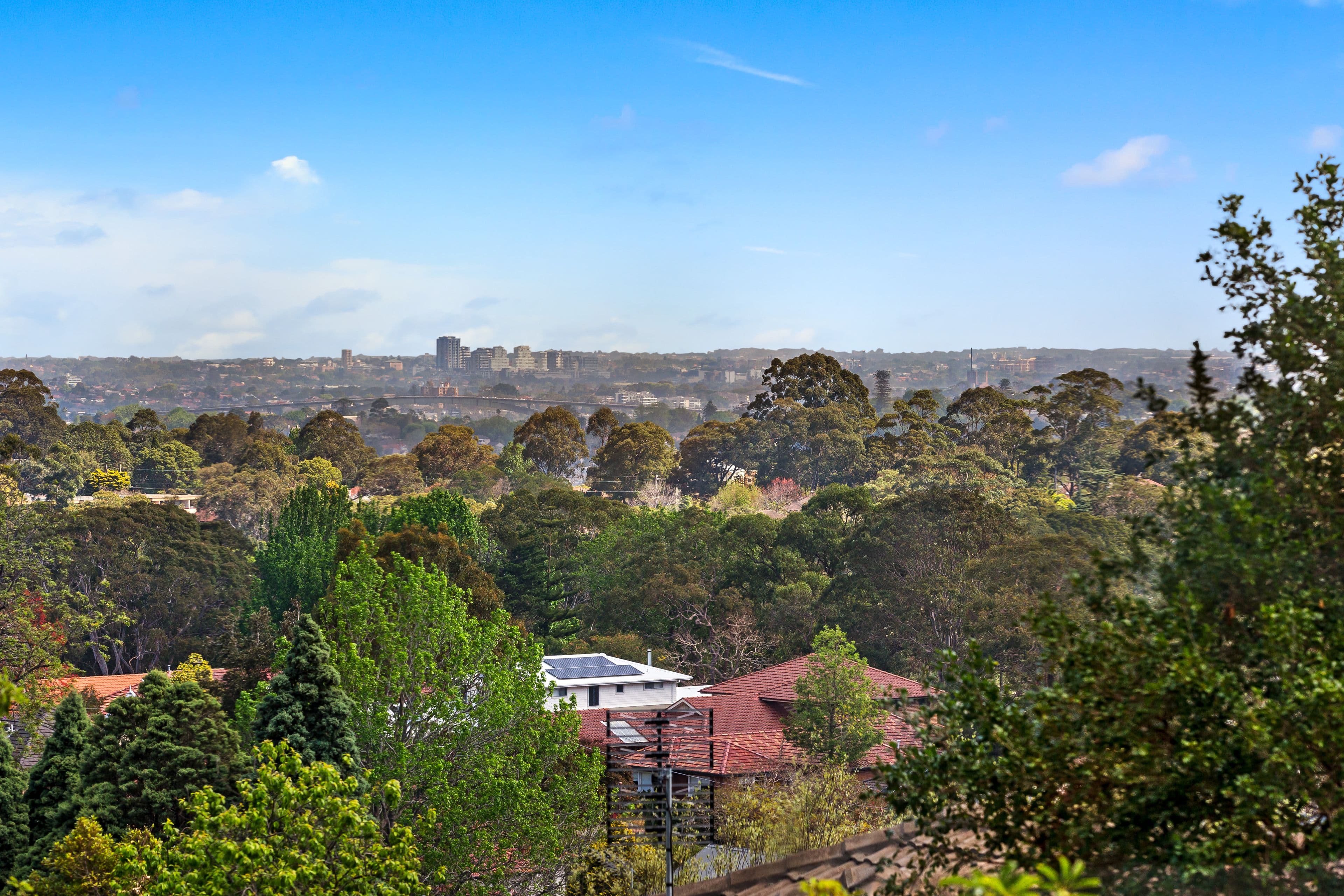 19 Osborne Road, Lane Cove - Thumbnail 4