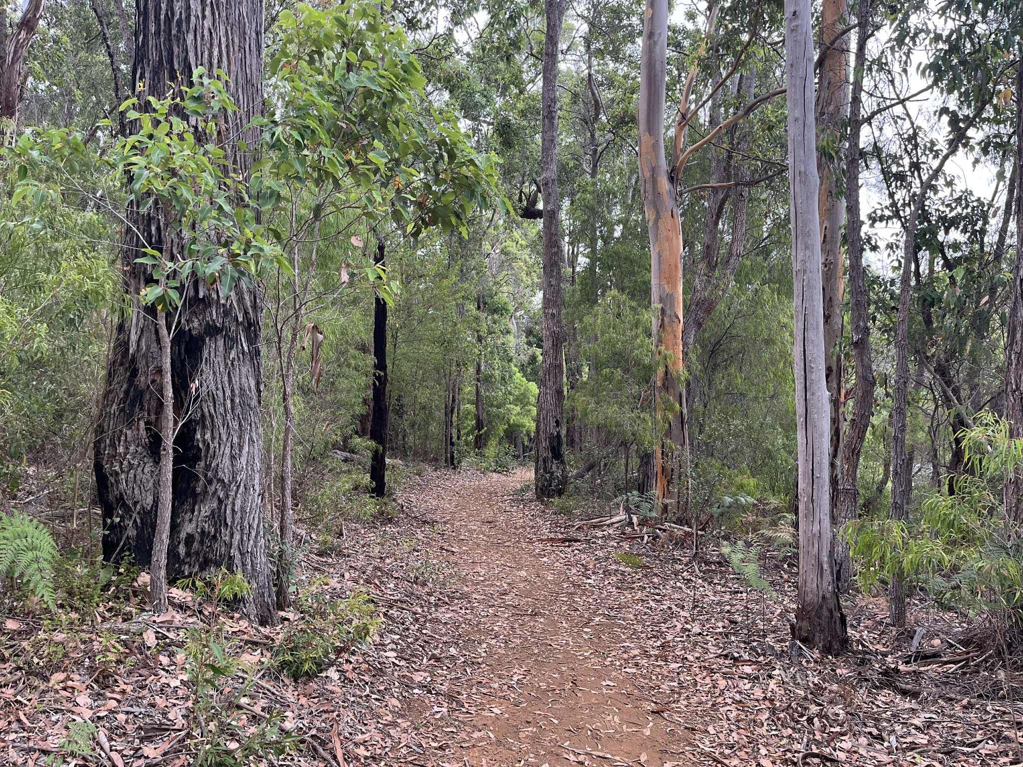 Karri Lane, Quinninup WA 6258, Quinninup - Thumbnail 6