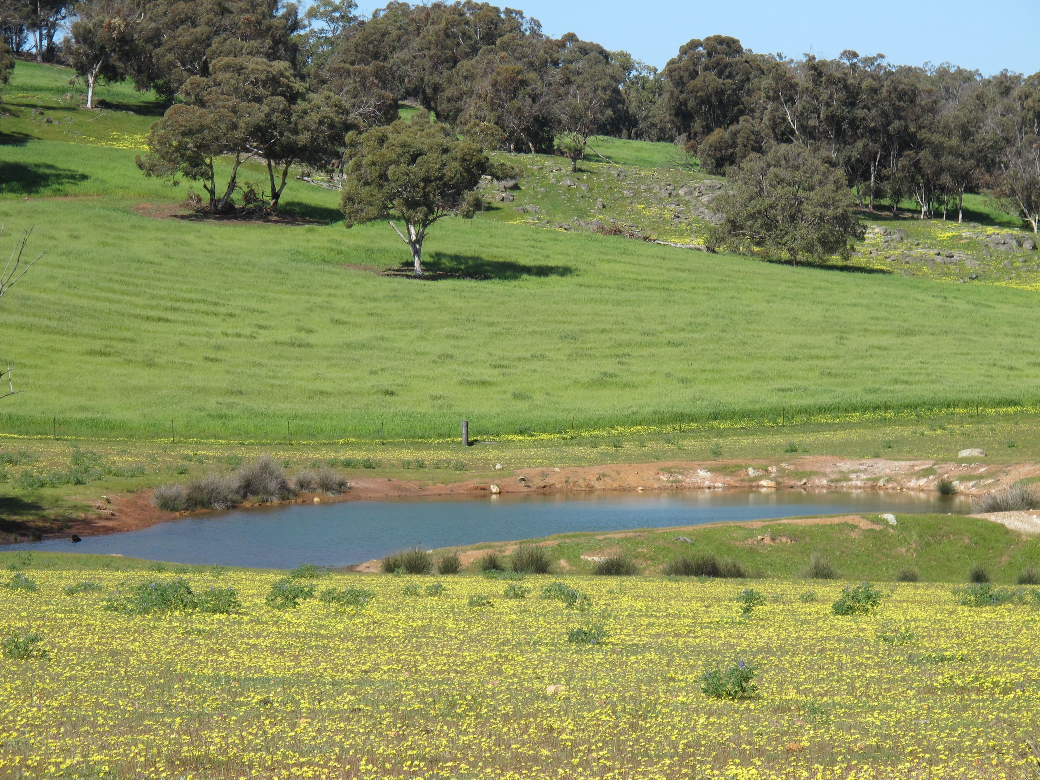 Springbank Farm, Julimar Road, Toodyay WA 6566, Toodyay - Thumbnail 3