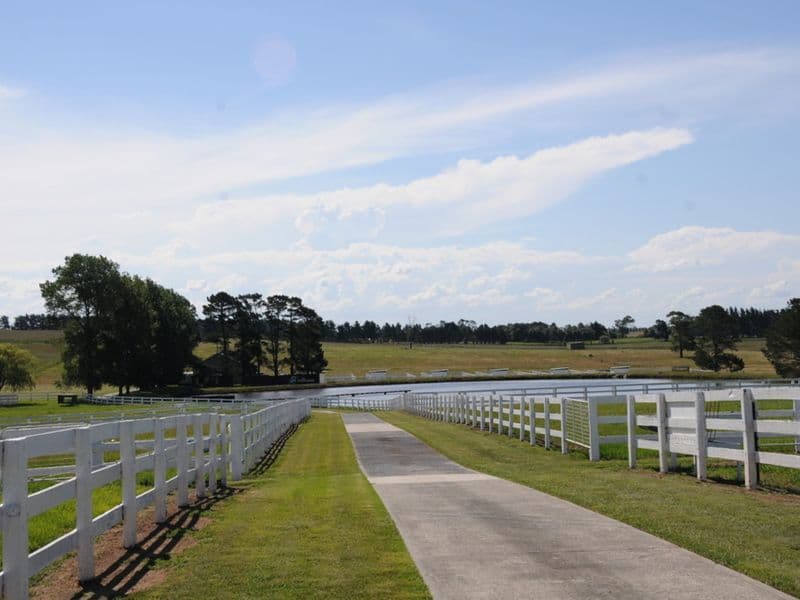 271 Exeter Road, Sutton Forest NSW 2577, Sutton Forest - Thumbnail 3
