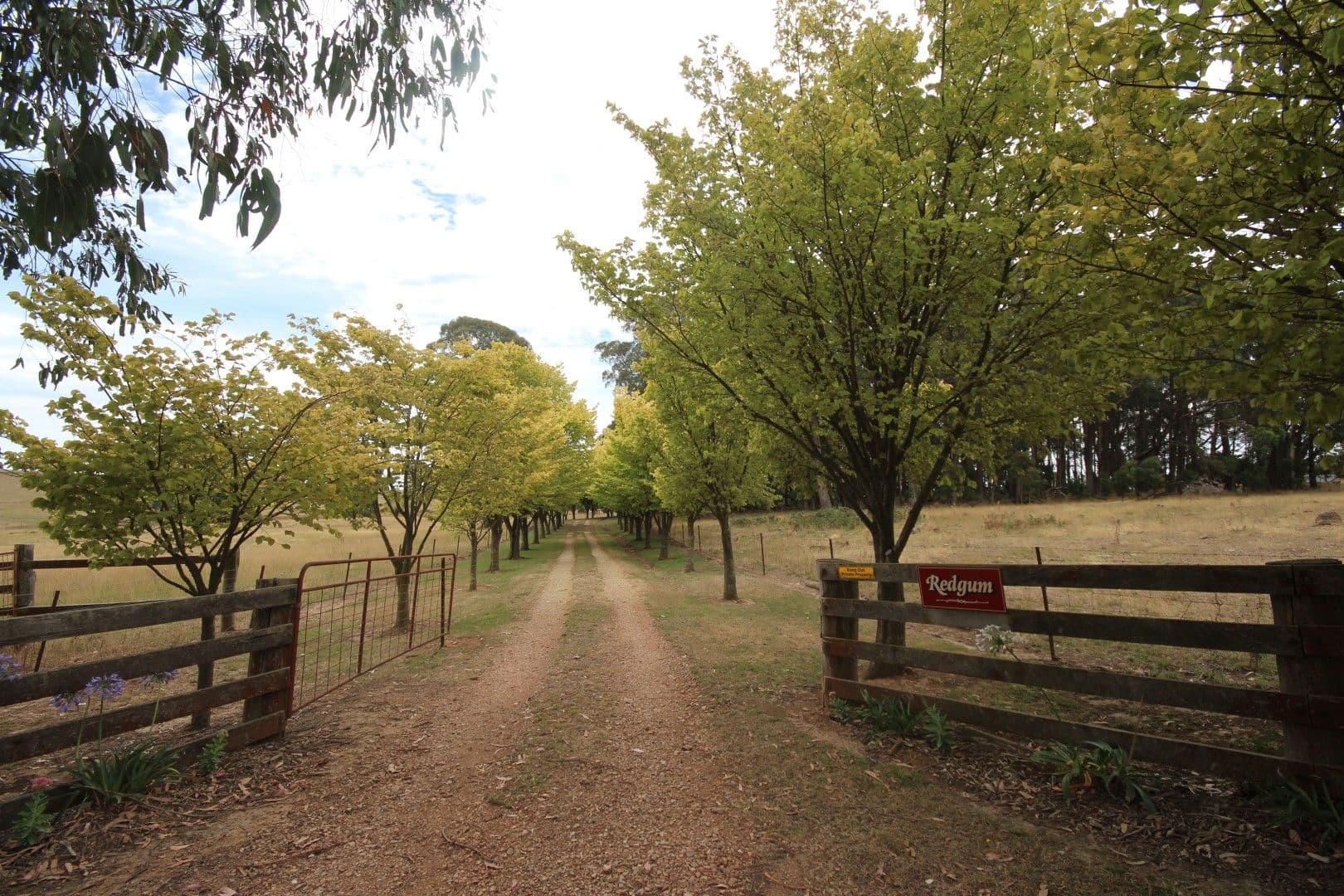 756 Mozart Road, Oberon NSW 2787, Oberon - Thumbnail 2