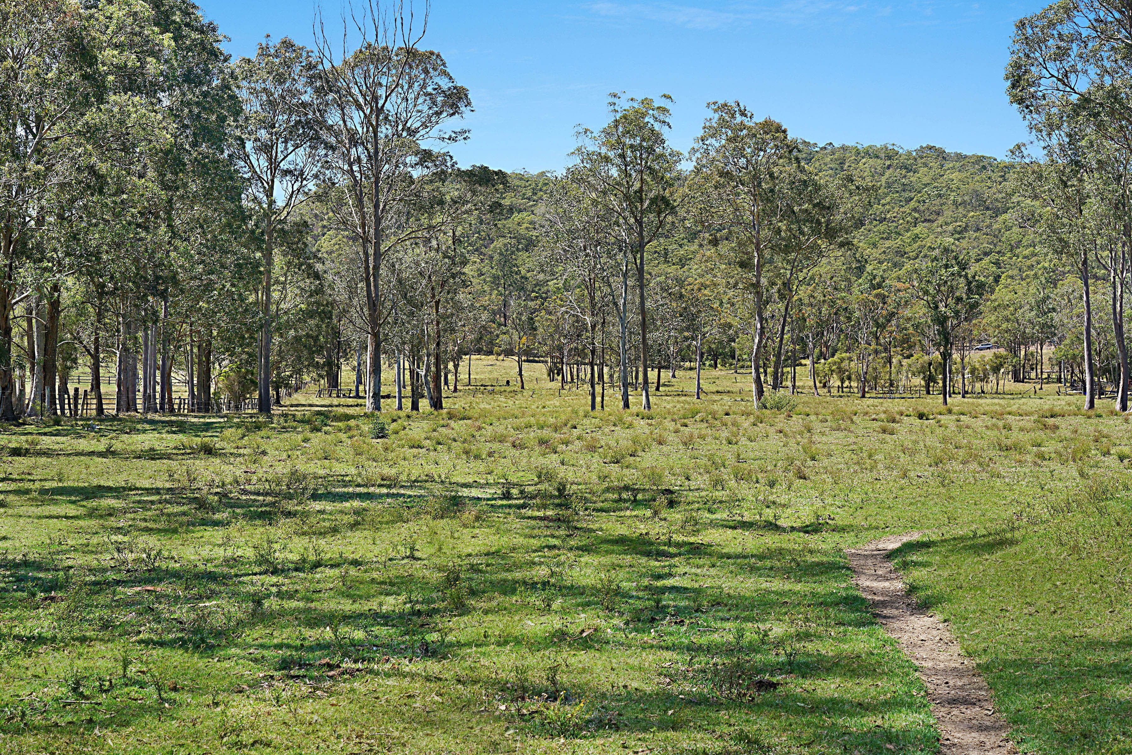 230 Crooks Road, Mandalong NSW 2264, Mandalong - Thumbnail 4