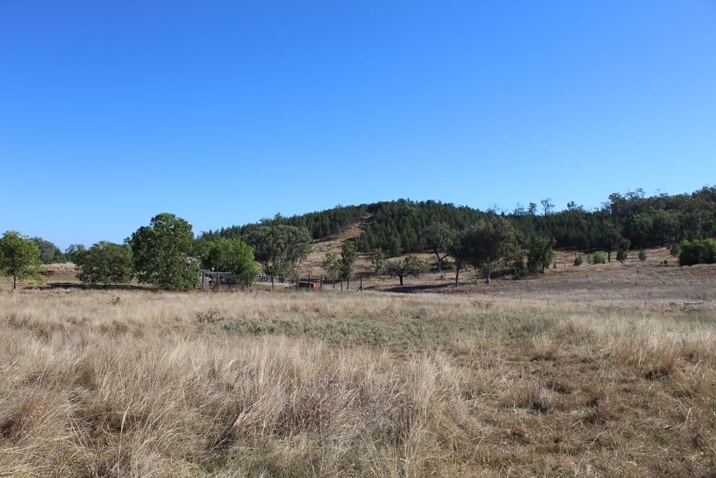 733 Upper Whitlow Road, Bingara NSW 2404, Bingara - Thumbnail 3