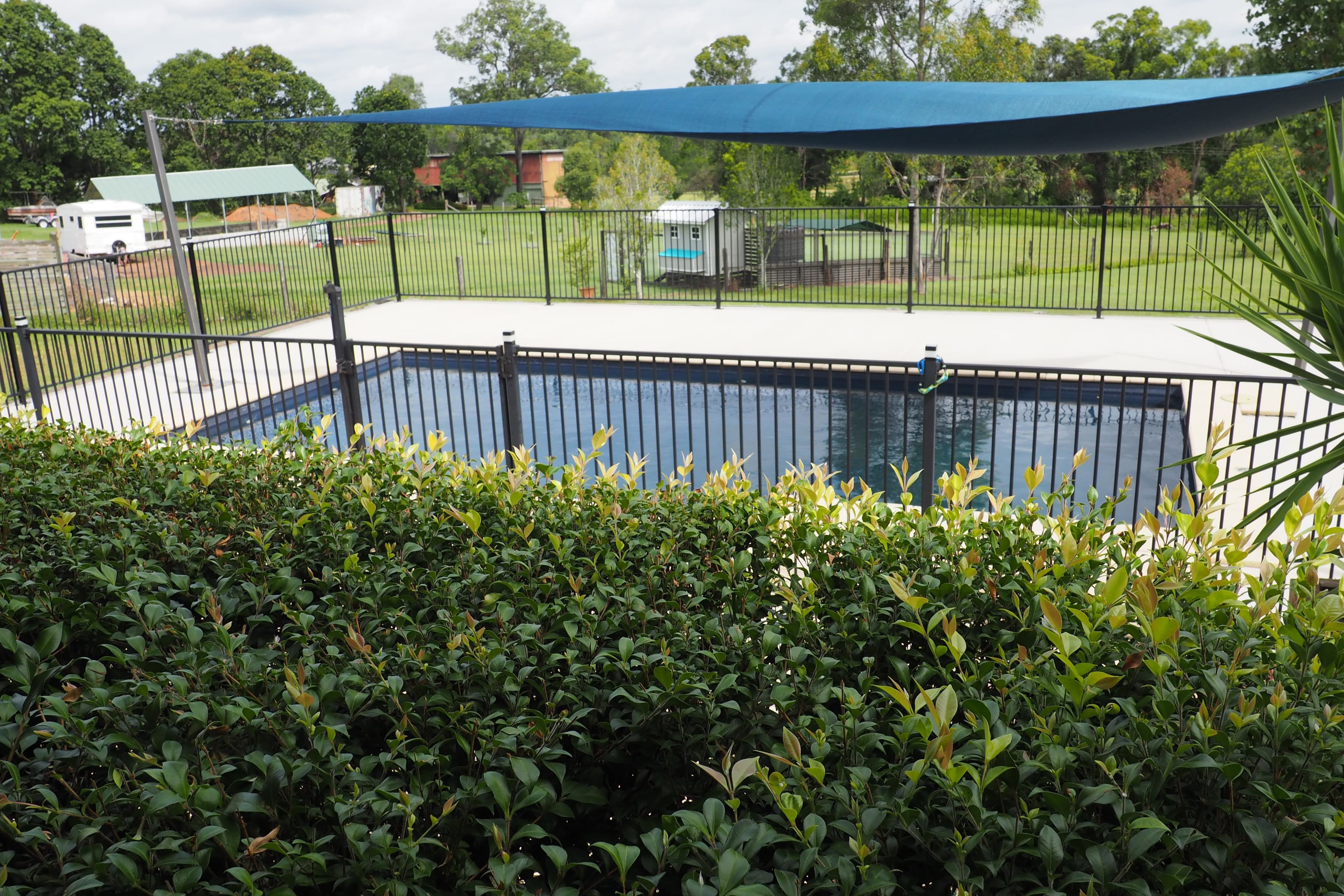 234 Woongool Road, Tinana QLD 4650, Tinana - Thumbnail 3