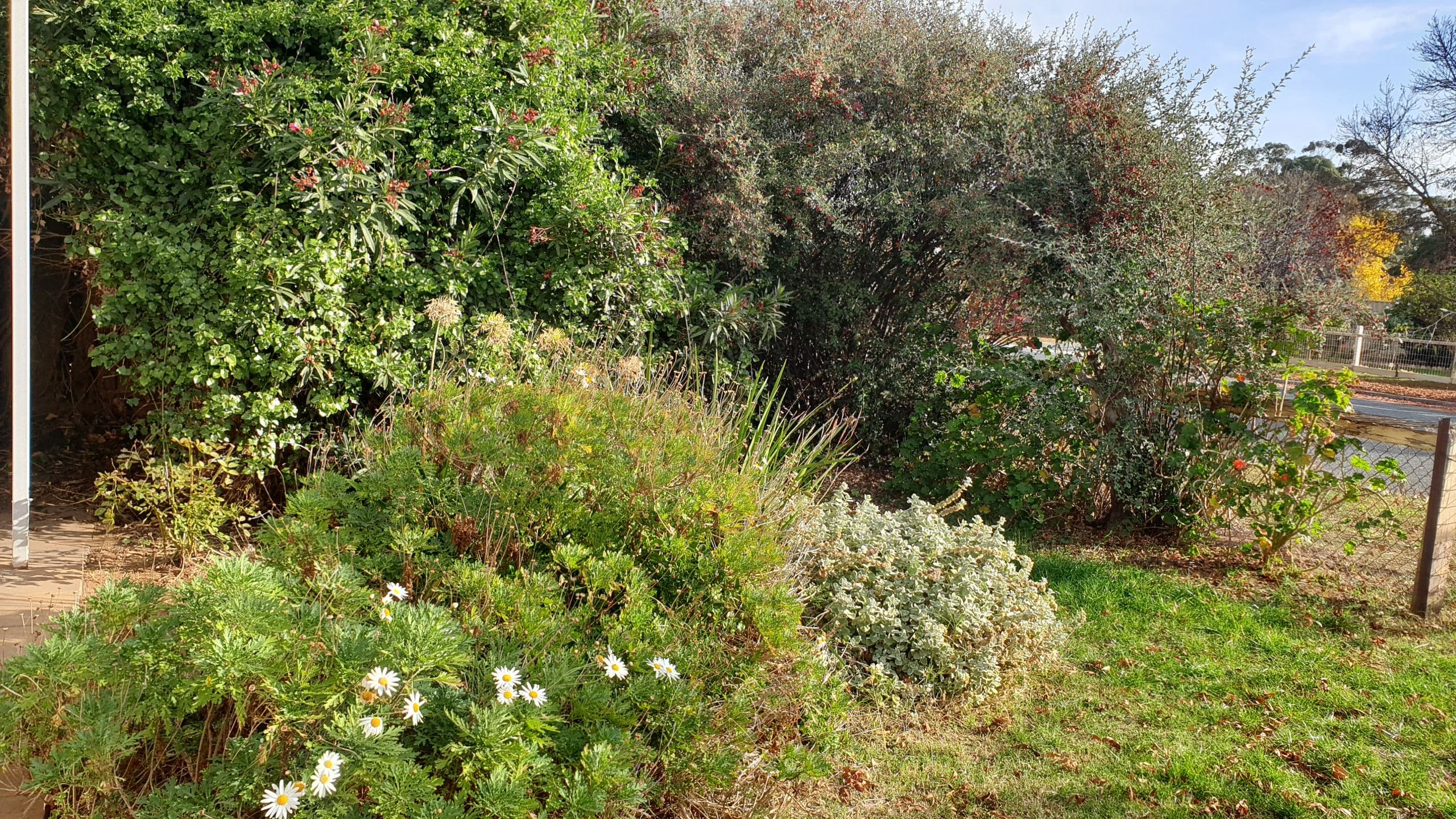 26 Michie Street, Elmore VIC 3558, Elmore - Thumbnail 2