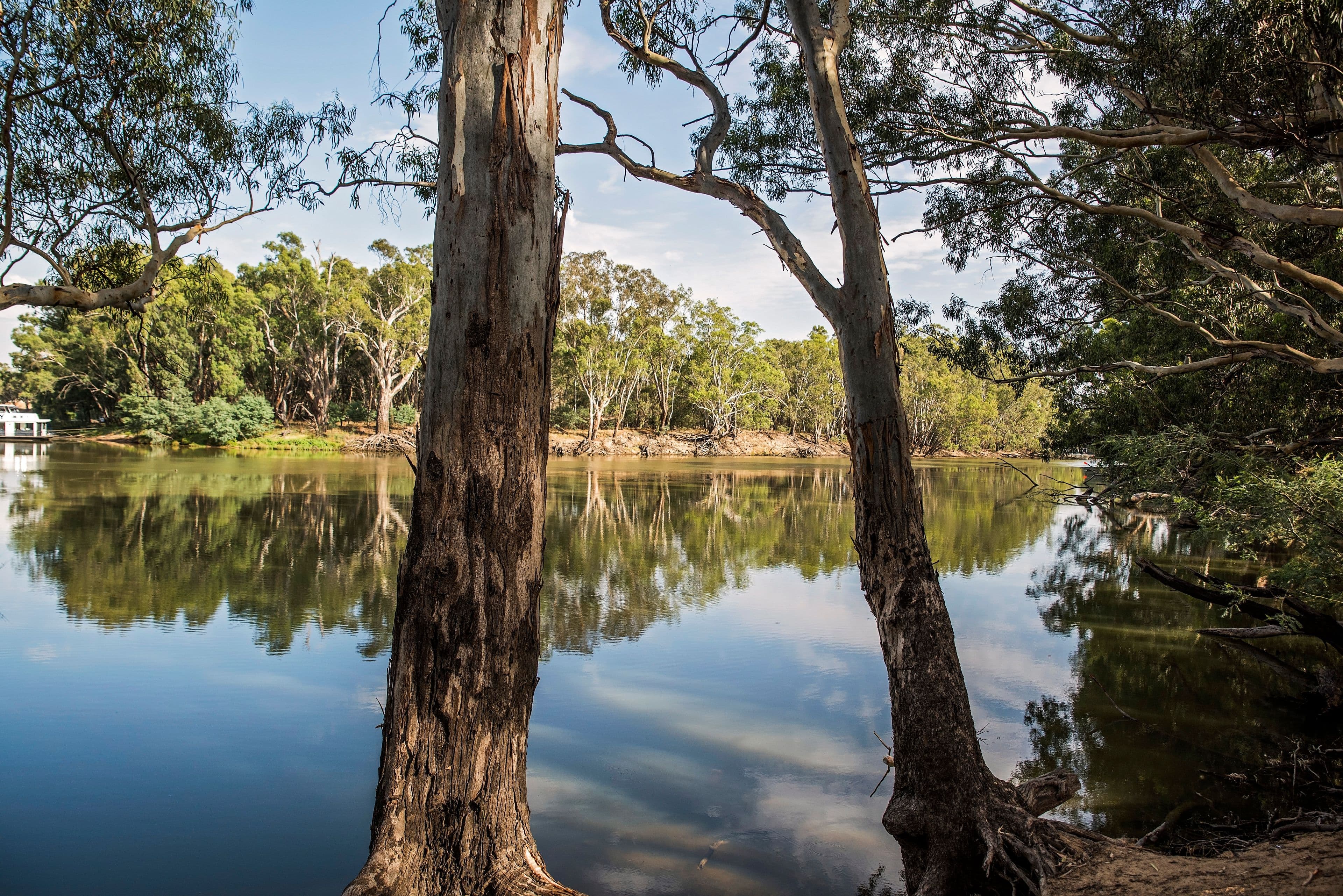 Lot 2 Pianta Road, Echuca VIC 3564, Echuca - Thumbnail 6