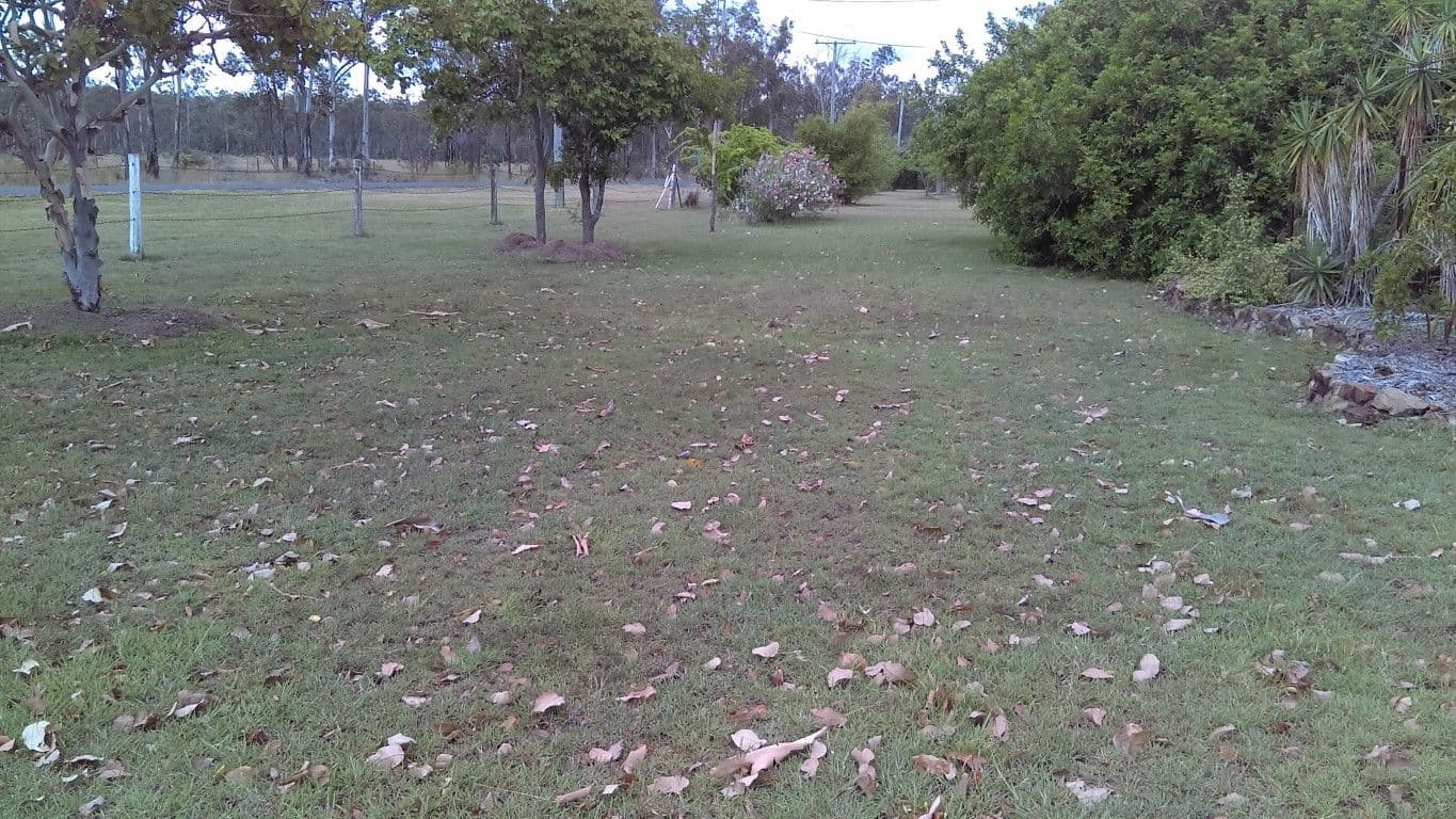 275 Darts Creek Road, Darts Creek QLD 4695, Darts Creek - Thumbnail 3