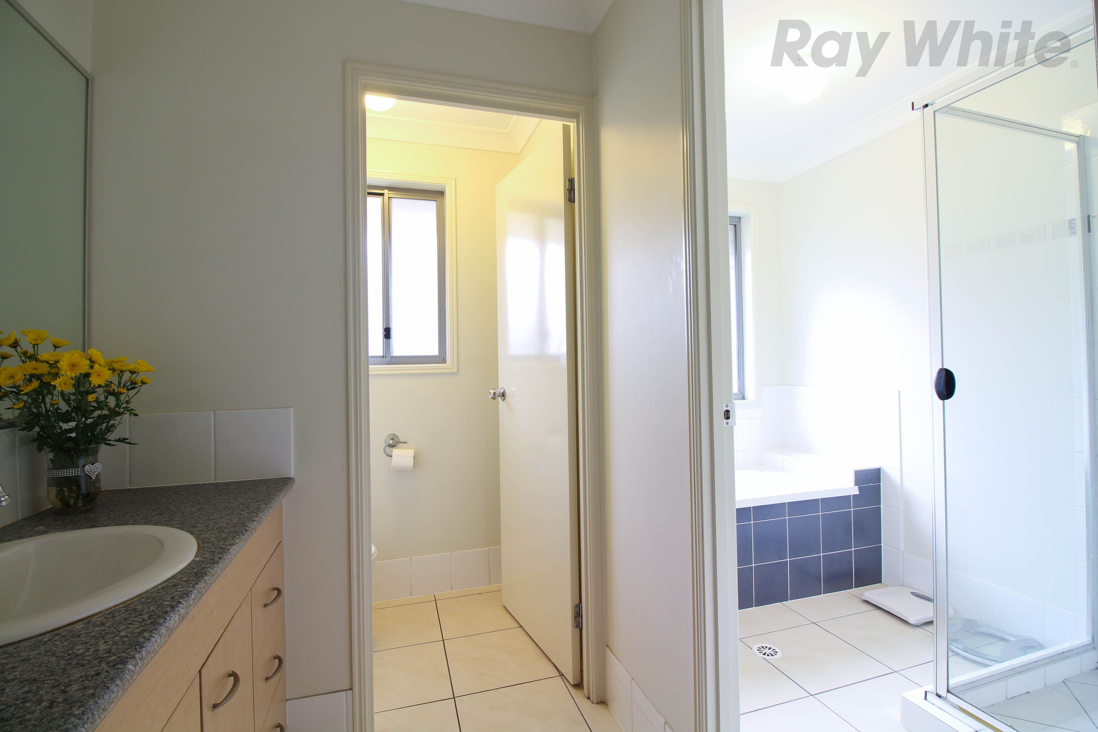 3 Sophie Street, Raceview QLD 4305, Raceview - Thumbnail 6