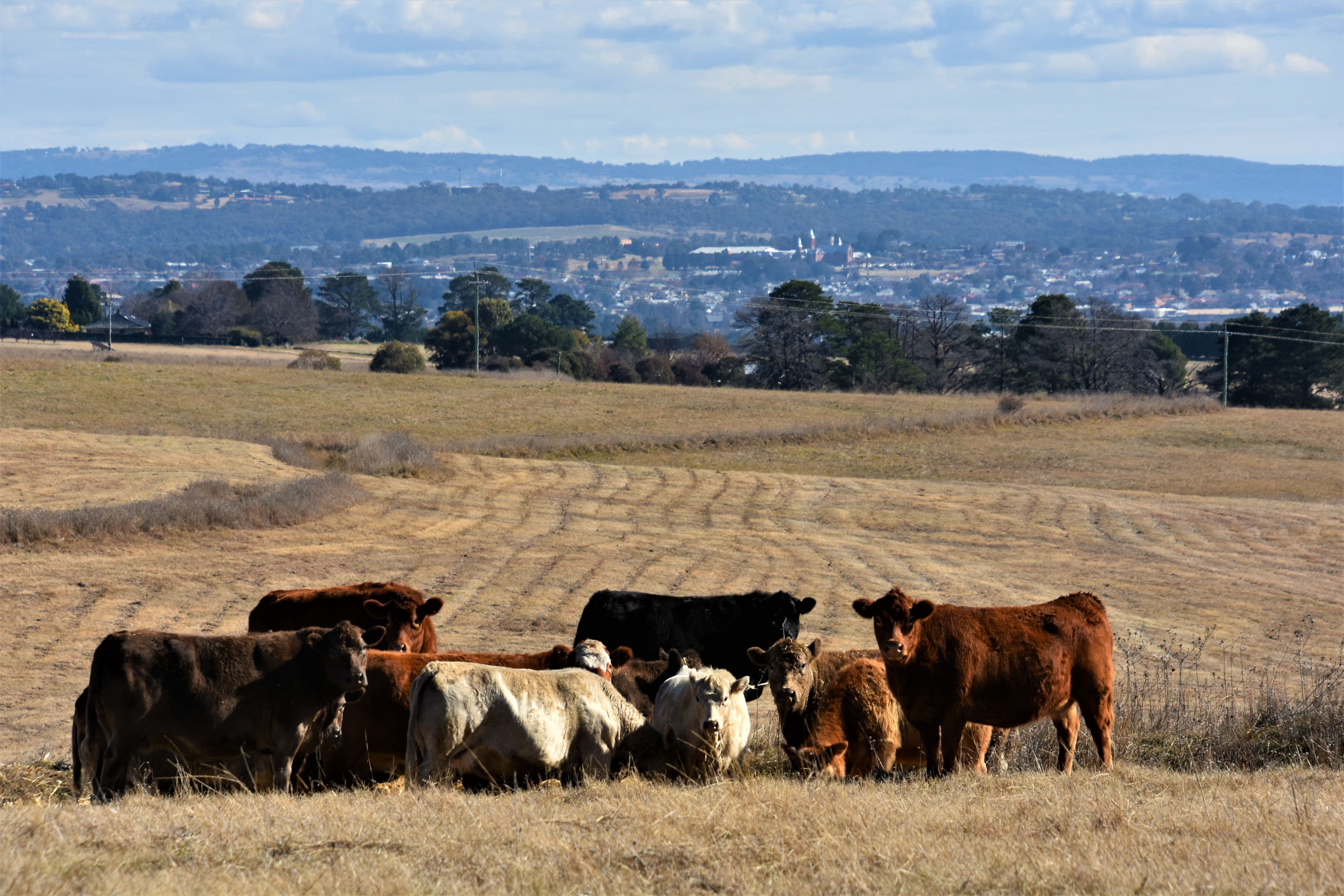 3880 O'Connell Road, Kelso NSW 2795, Kelso - Thumbnail 2