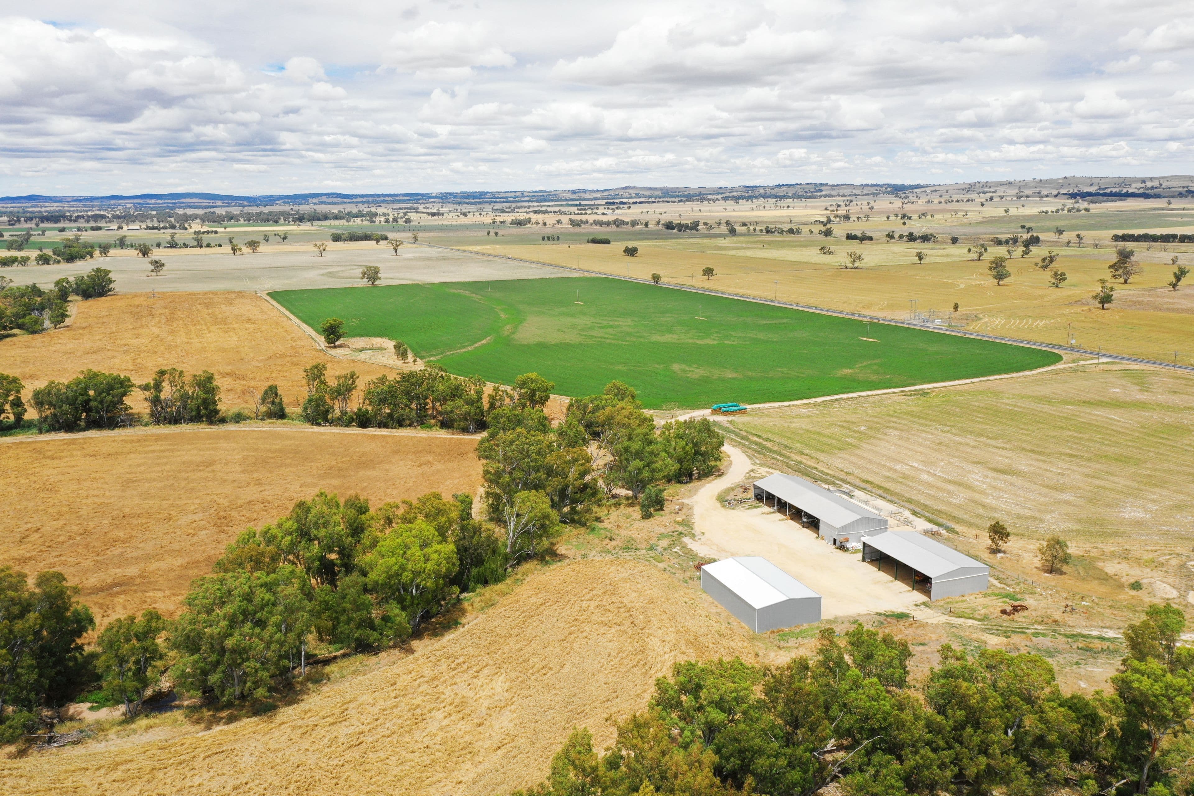 YOUNG NSW 2594, Young - Image 1