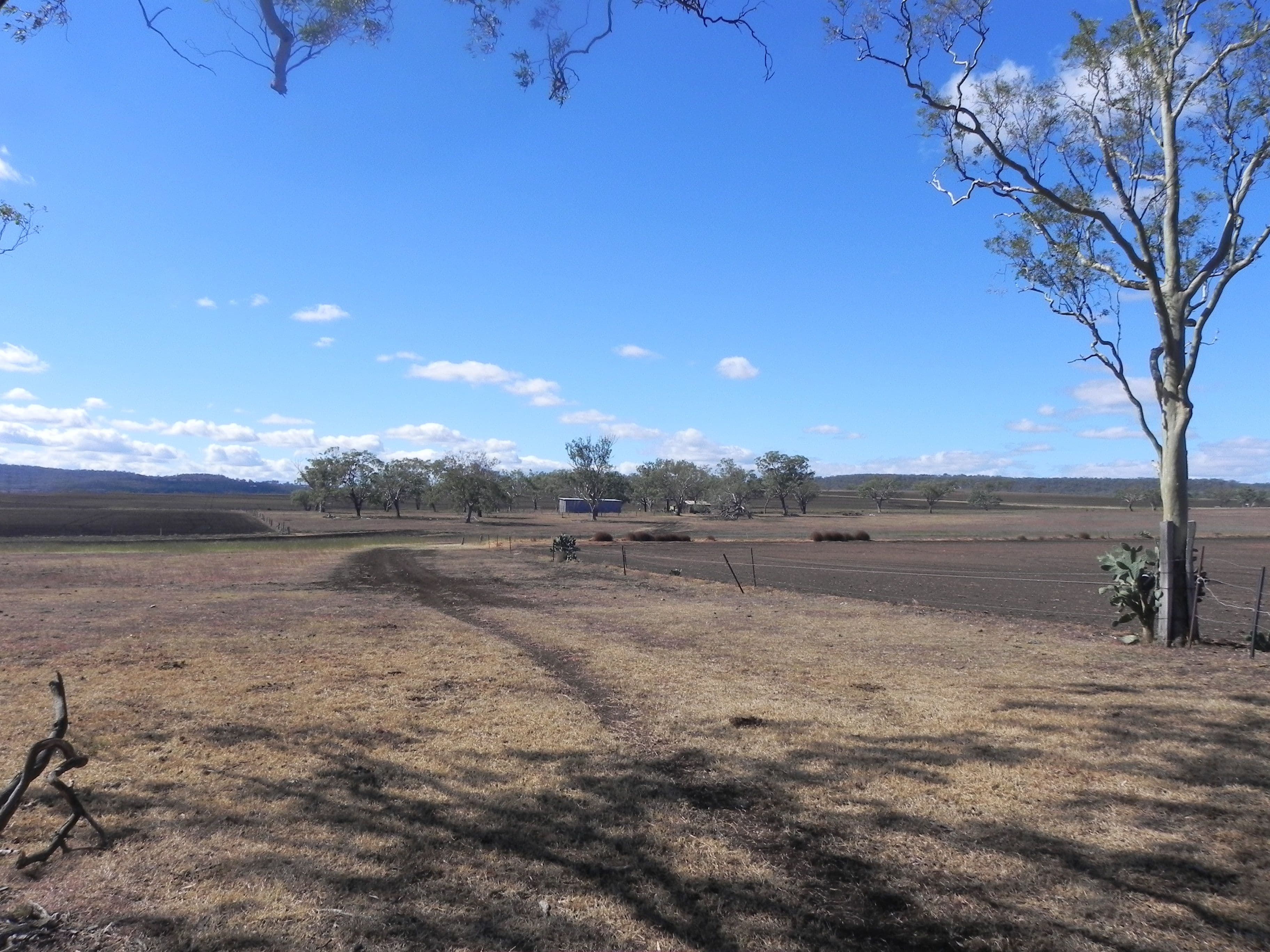 0 Felton - Clifton Road, Felton QLD 4358, Felton - Thumbnail 7