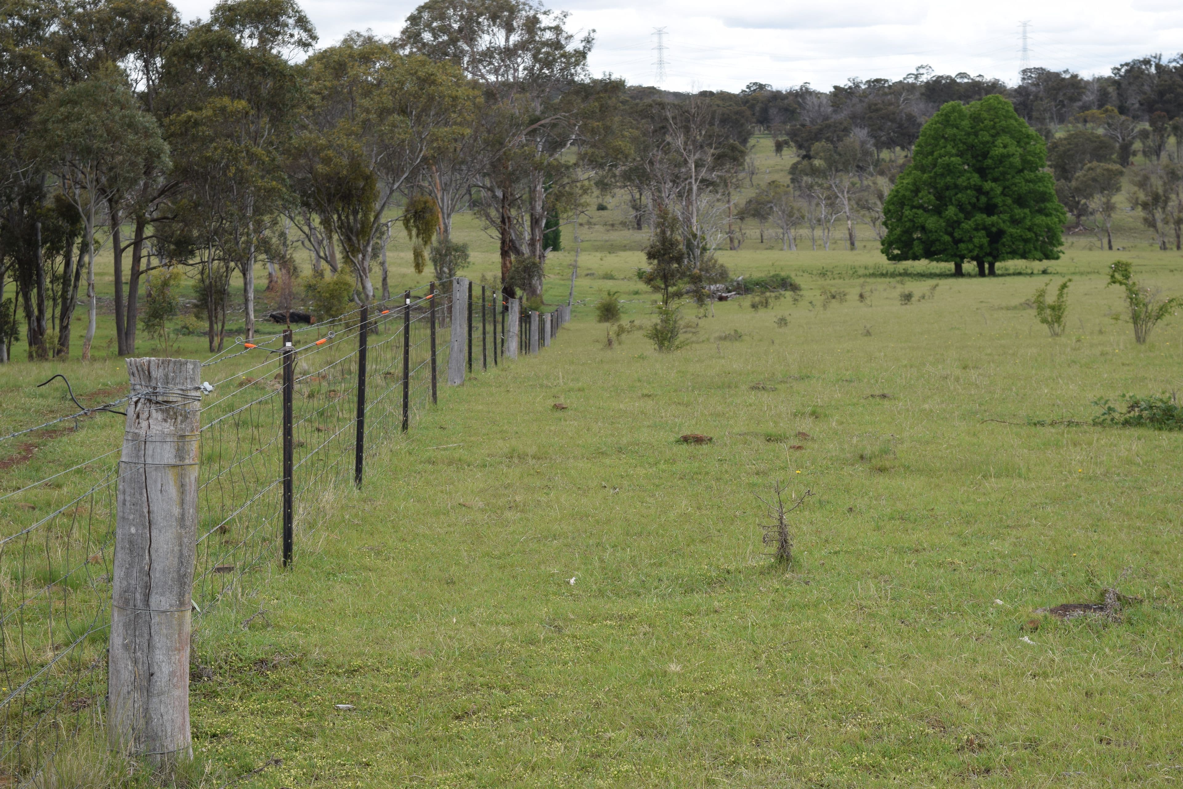 460 Donald Road, Armidale NSW 2350, Armidale - Thumbnail 4