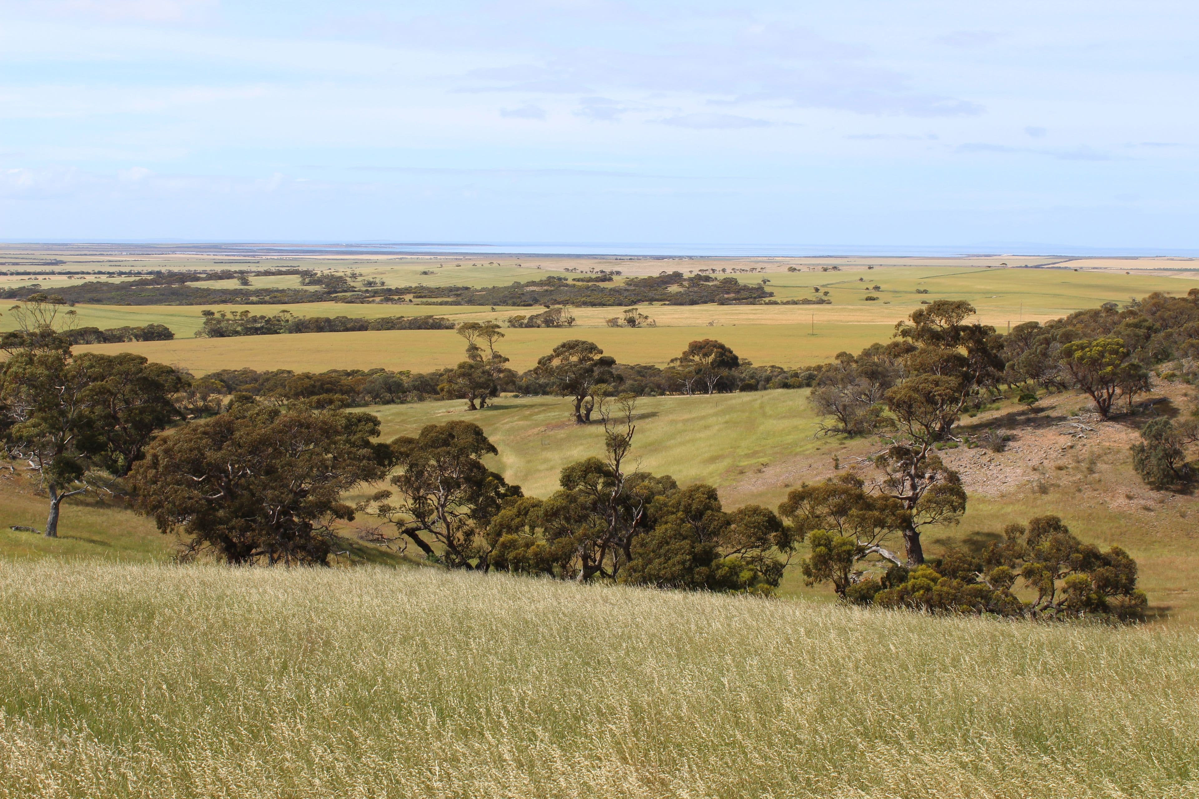 Lot 17 Foothills Road, Tumby Bay SA 5605, Tumby Bay - Image 1