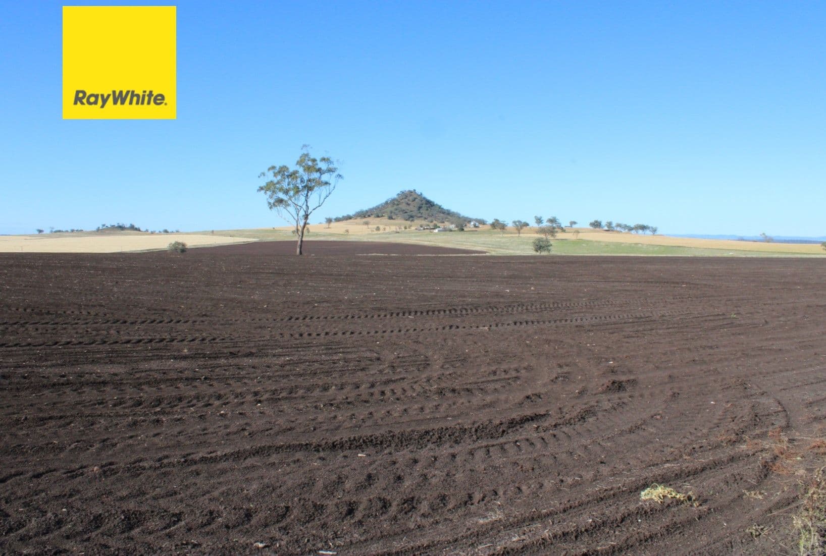 1 Glenesk Road, Delungra NSW 2403, Delungra - Image 1