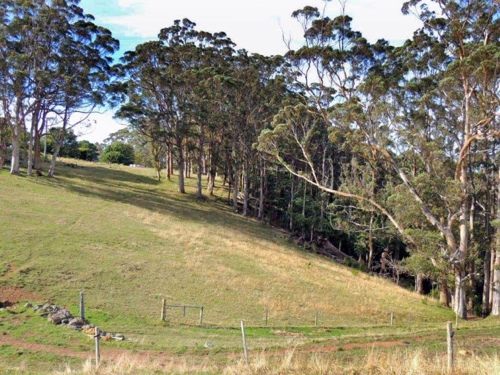 Lot 38 Illsley Drive, Denmark WA 6333, Denmark - Thumbnail 4