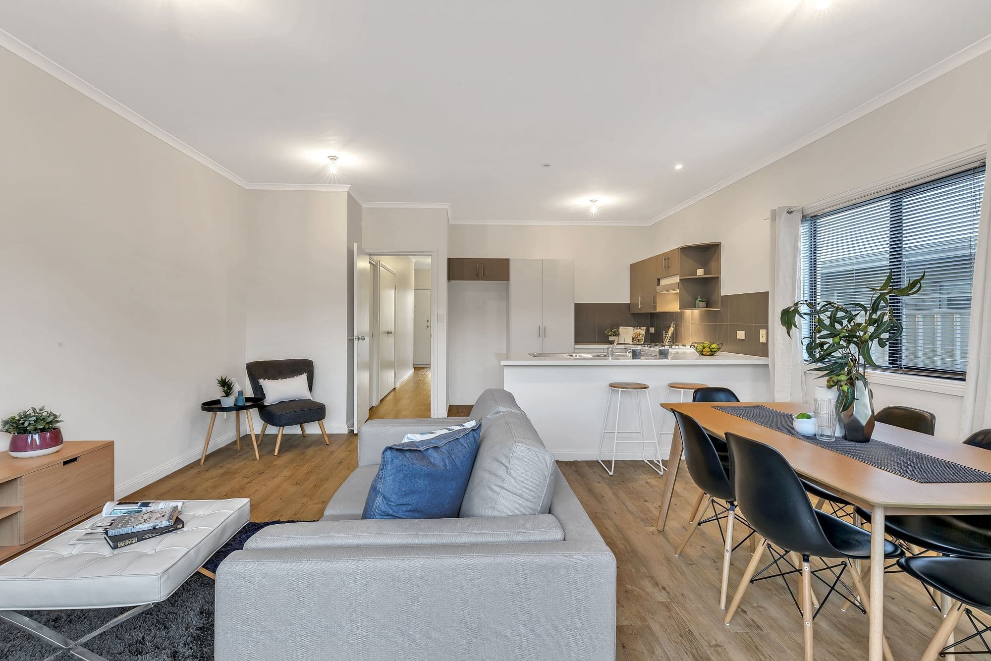 3 Brian Street, Marion SA 5043, Marion - Thumbnail 3