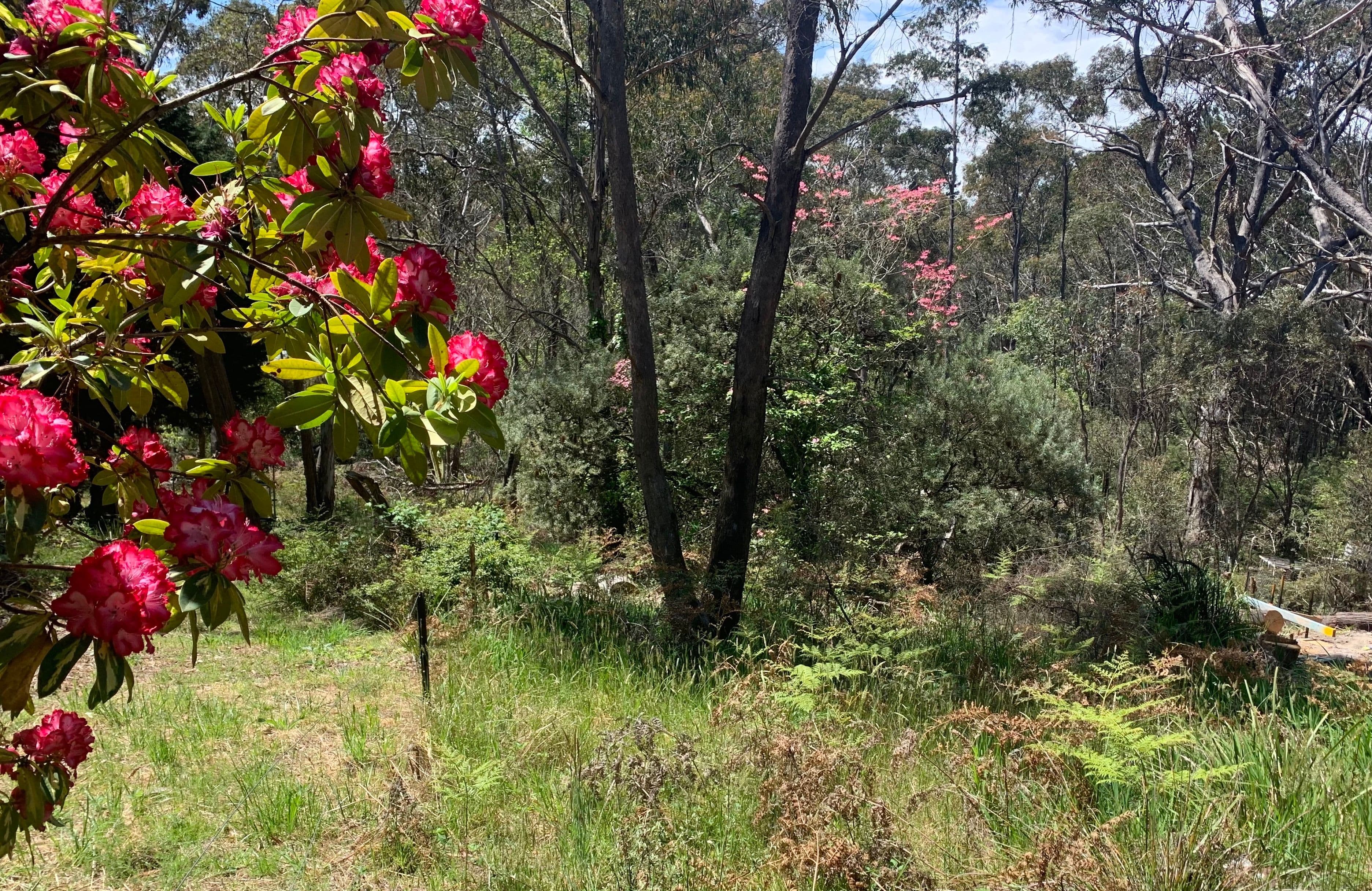 76 Railway Parade, Medlow Bath NSW 2780, Medlow Bath - Thumbnail 3