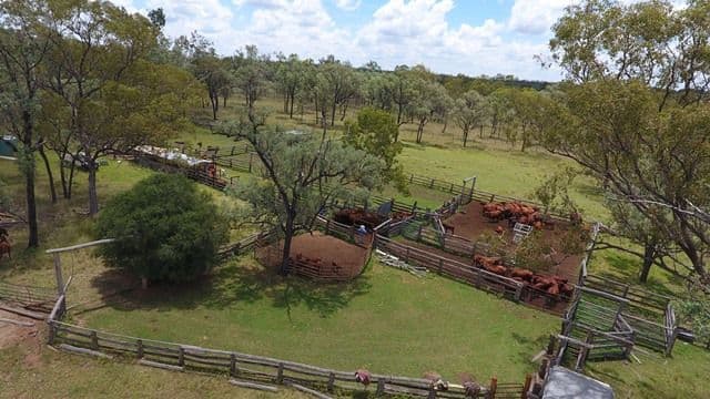 131 and 138 Harsants Road, LAWGI DAWES QLD 4716, Lawgi Dawes - Thumbnail 4