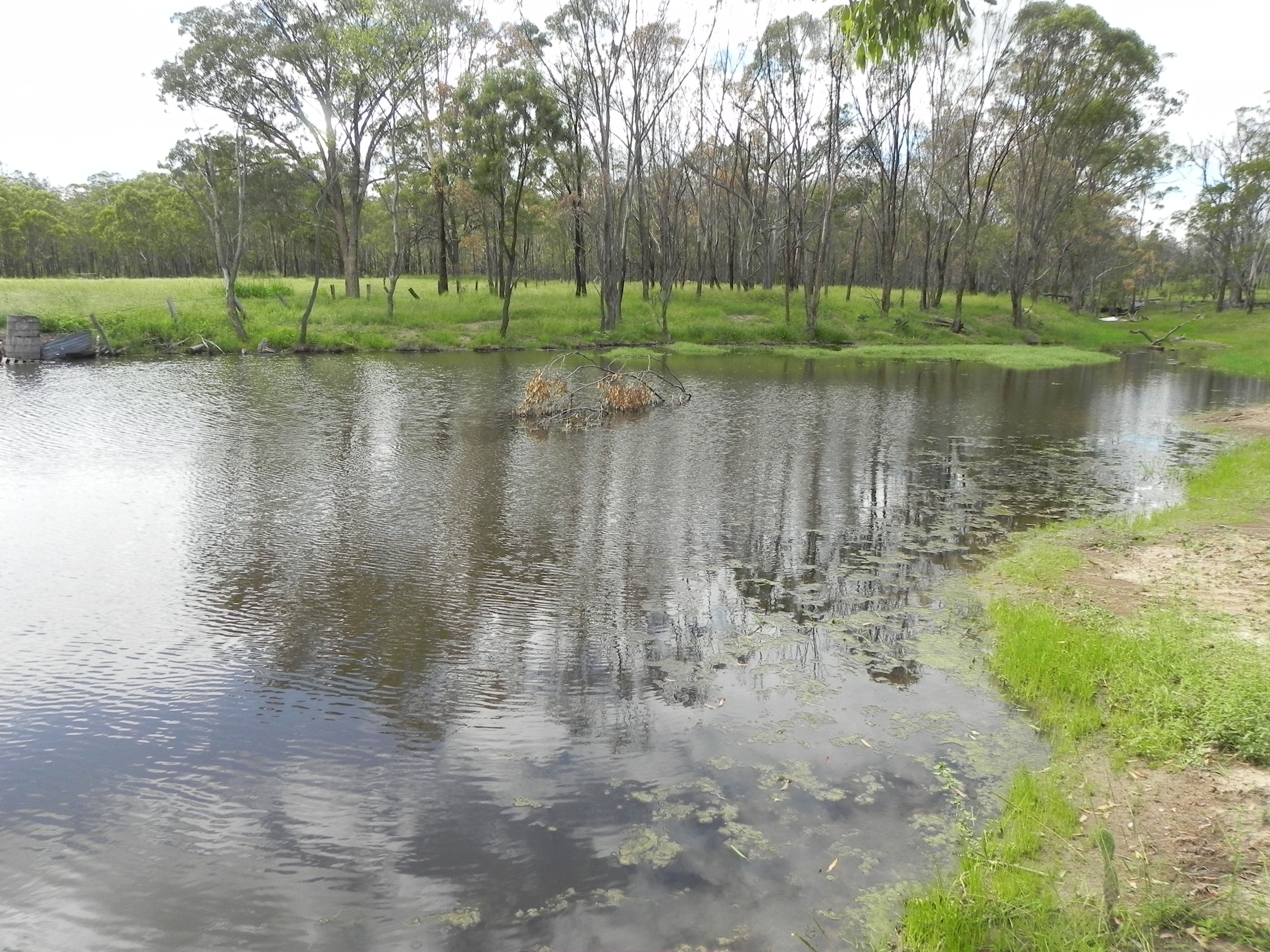 0 Cunningham Highway, Greymare QLD 4370, Greymare - Thumbnail 7