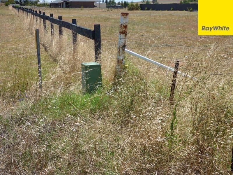 2 Alcheringa Drive, Forbes NSW 2871, Forbes - Thumbnail 4