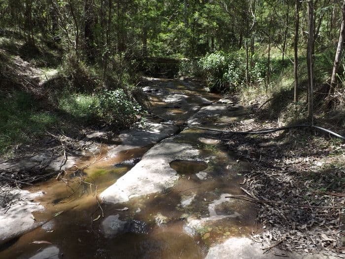 Lot 142 Mount Royal Road, Singleton NSW 2330, Singleton - Thumbnail 2