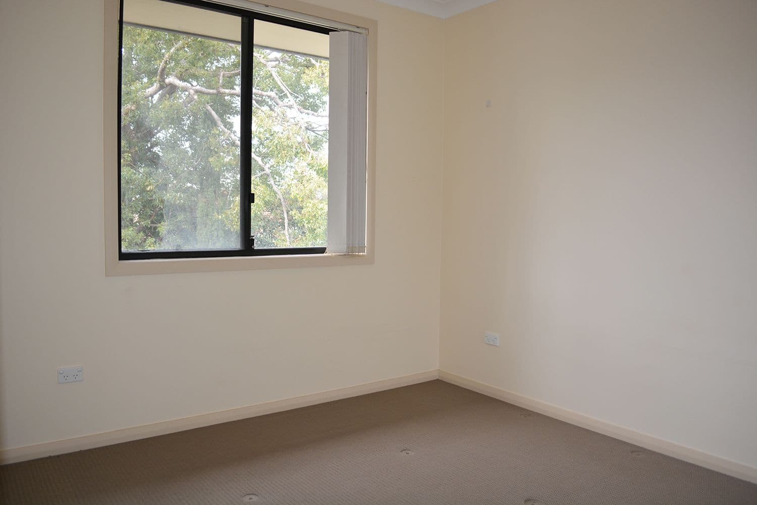14 Evans Road, Telopea NSW 2117, Dundas Valley - Thumbnail 6