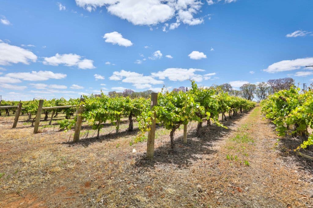 5721 Sturt Highway, Monak NSW 2738, Monak - Thumbnail 5