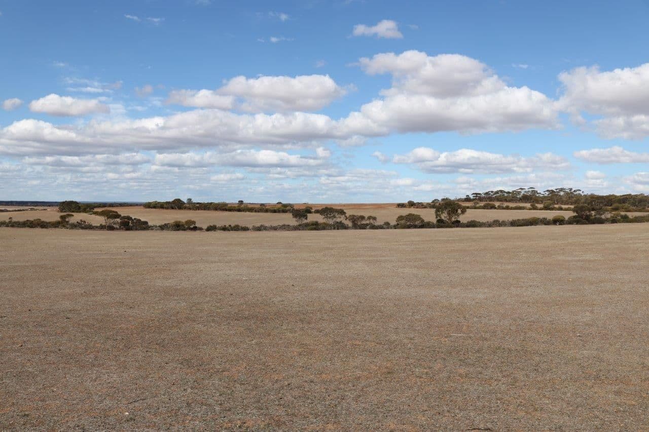 L265 Calzoni Road, Woolocutty WA 6369, Woolocutty - Thumbnail 4