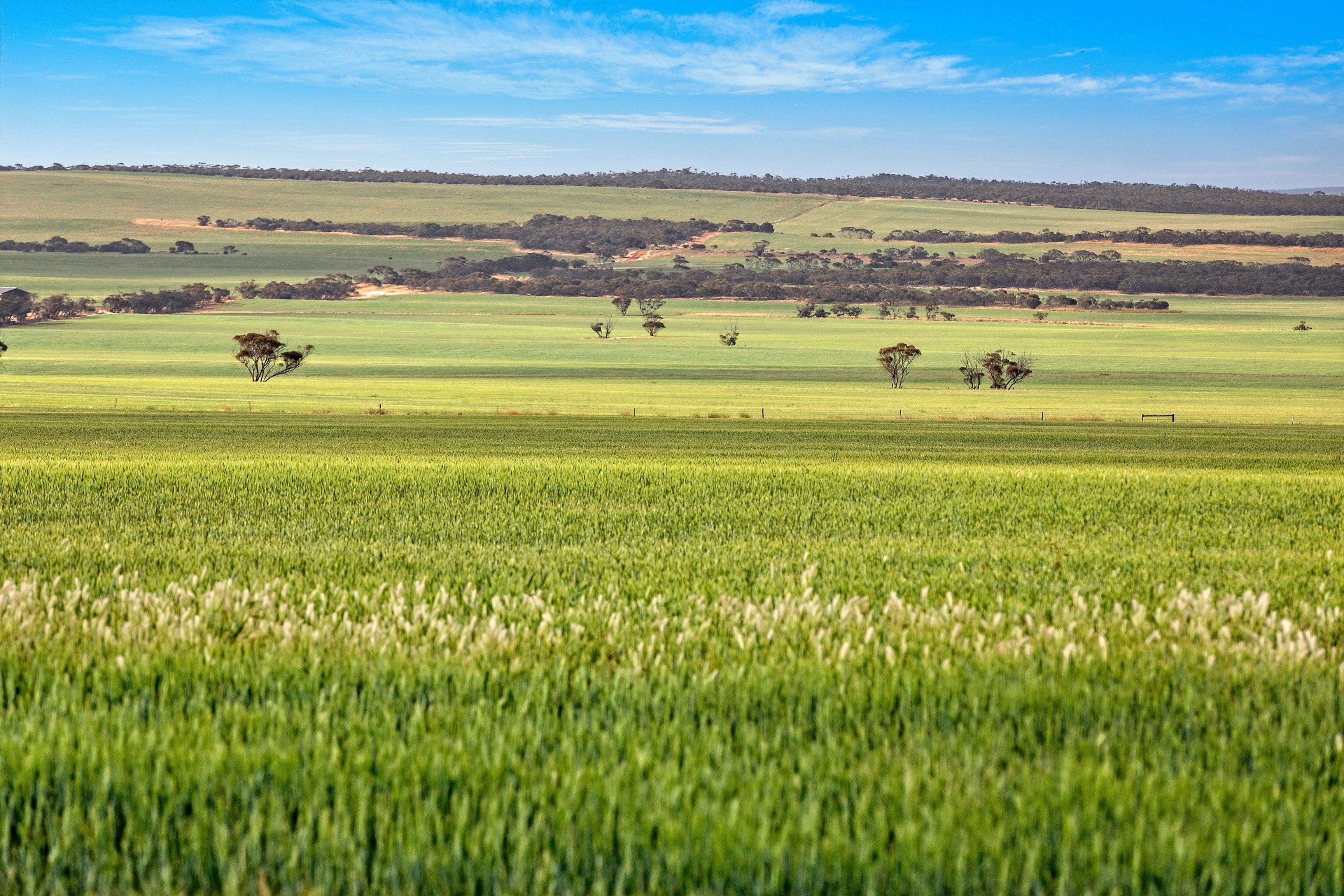 Lot 2 Payne Road, Koongawa SA 5650, Koongawa - Image 1