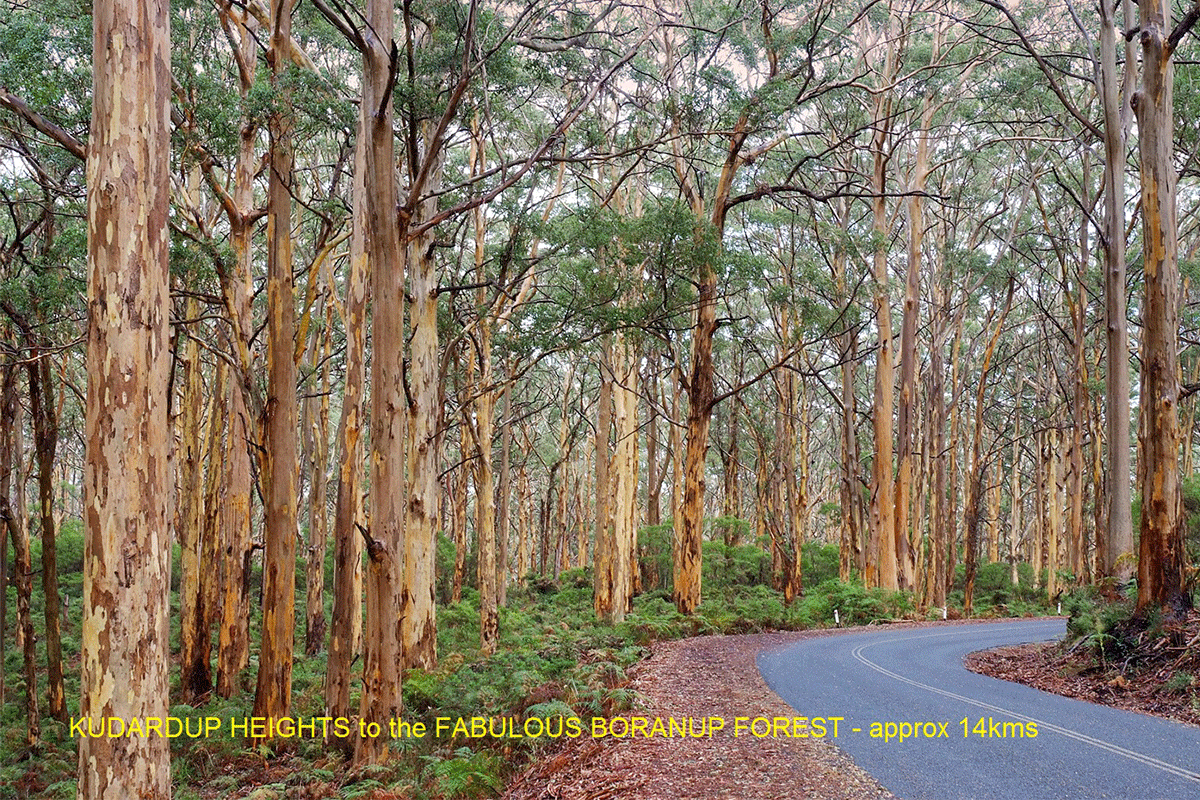 Groupthree Drive Stage 2B, Kudardup Road, Kudardup WA 6290, Kudardup - Thumbnail 5