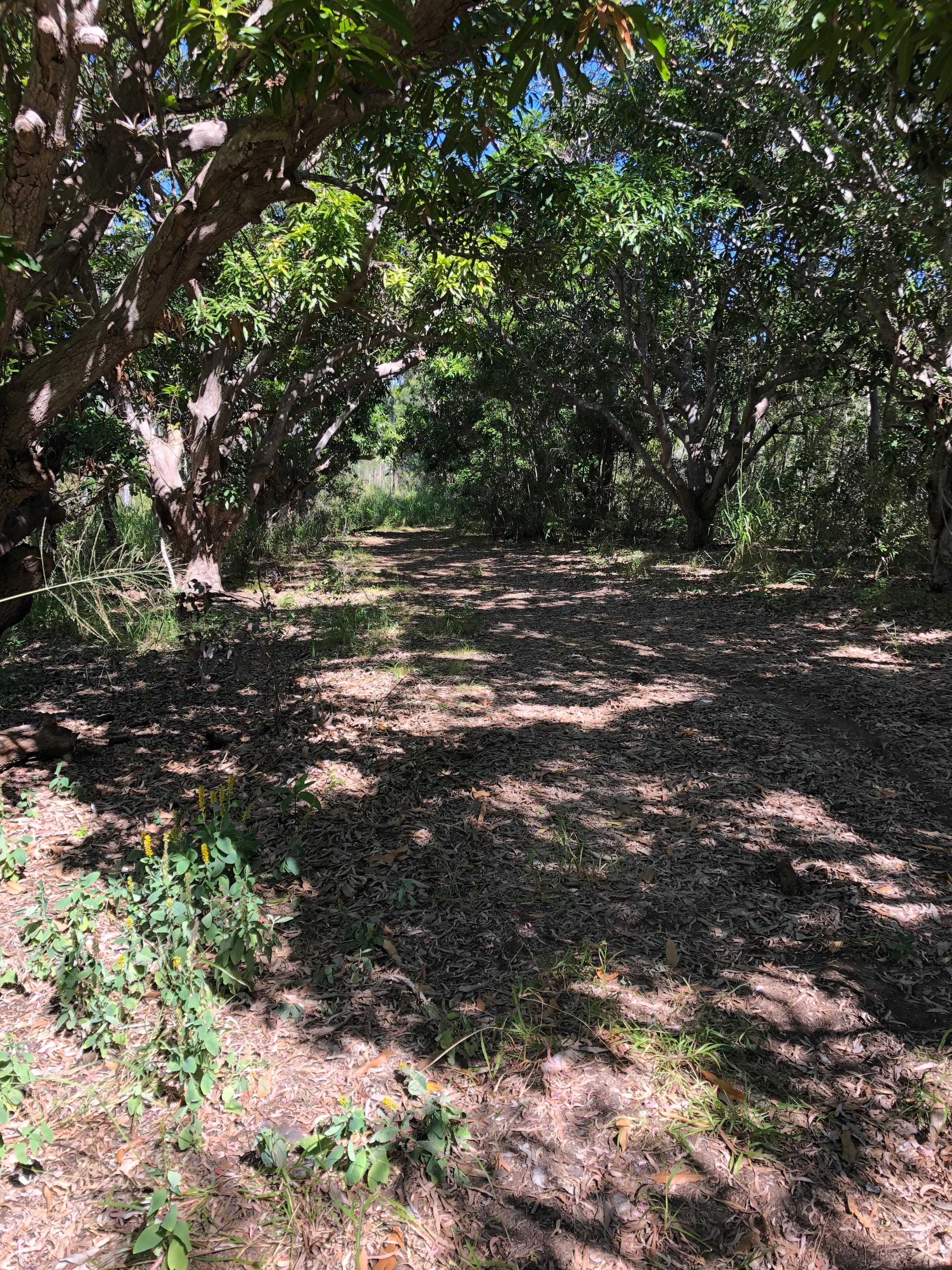 Lot 2 Keppel Sands Road, Keppel Sands QLD 4702, Keppel Sands - Thumbnail 7