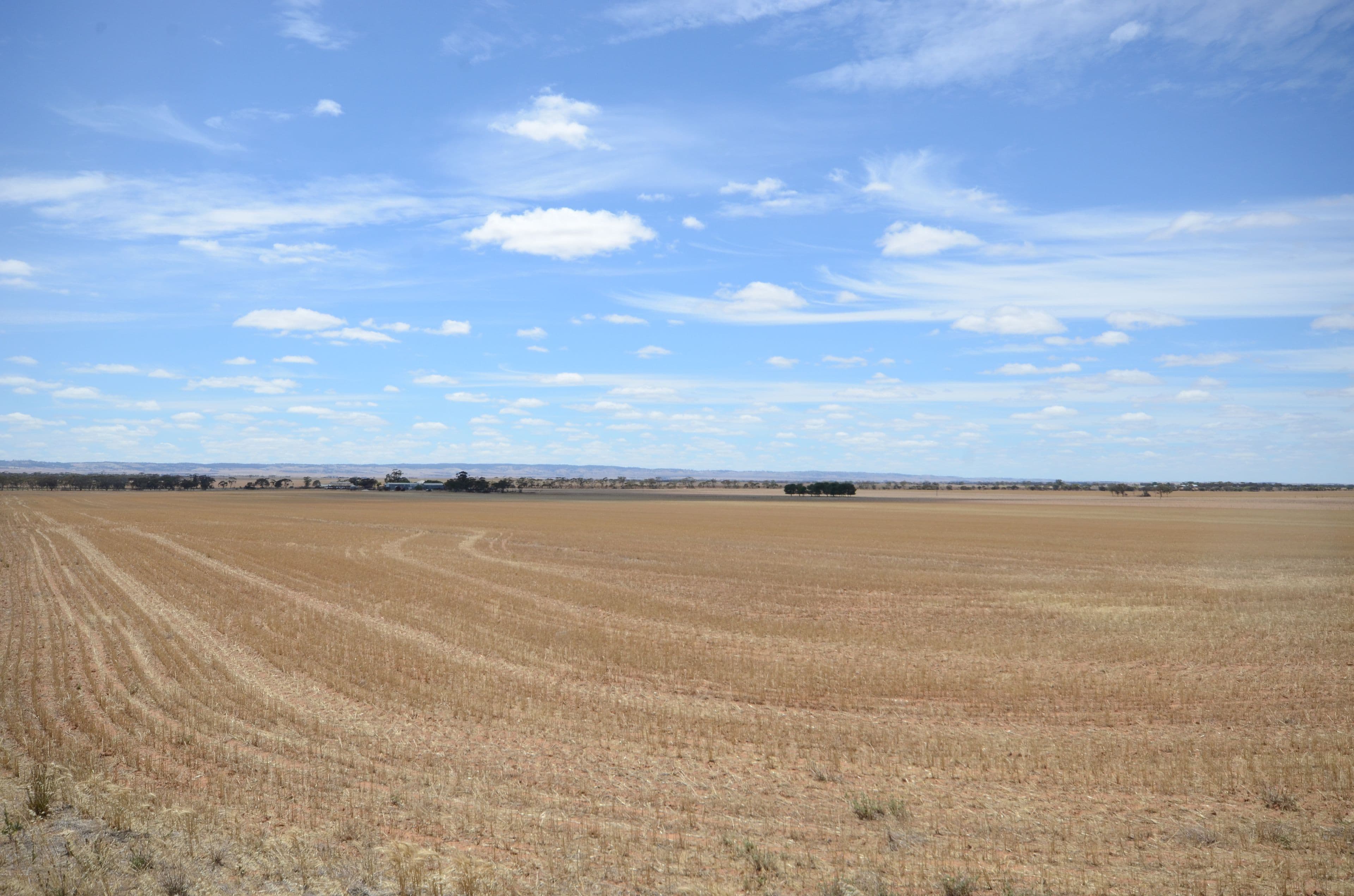 "Tiroroa" Blyth Road, Blyth SA 5462, Blyth - Thumbnail 2