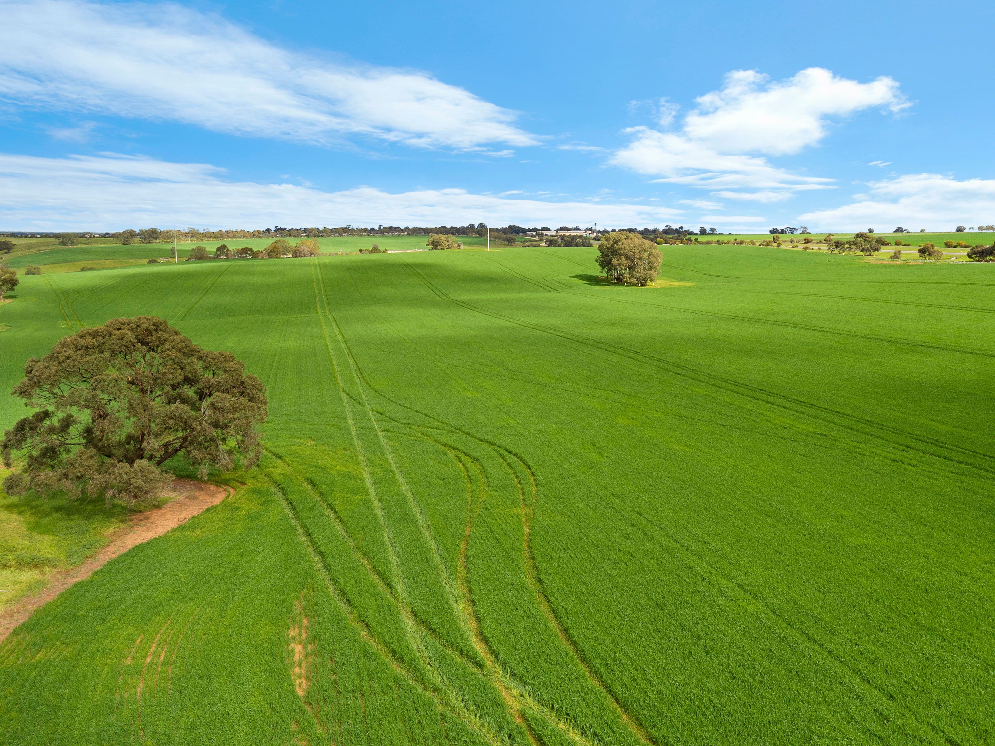 'Kingsford Block' - Lot 508 Sturt Highway, Kingsford SA 5118, Kingsford - Image 1