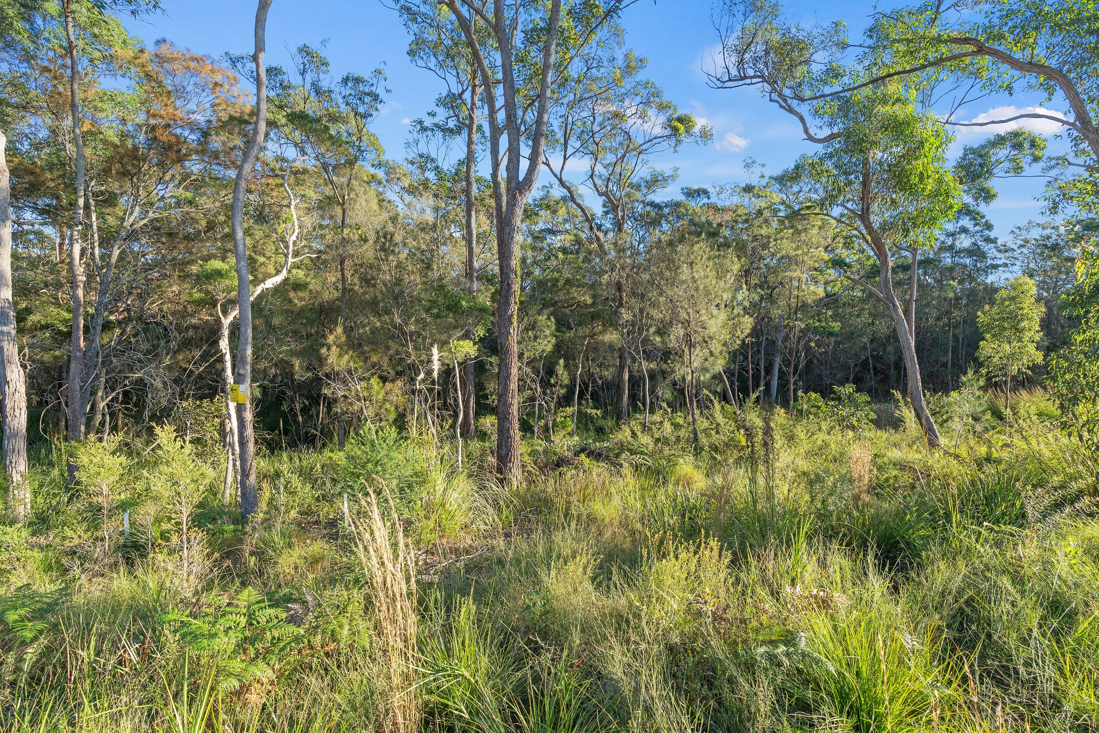 10 (Lot 5) Patonga Street, Morisset NSW 2264, Morisset - Thumbnail 6