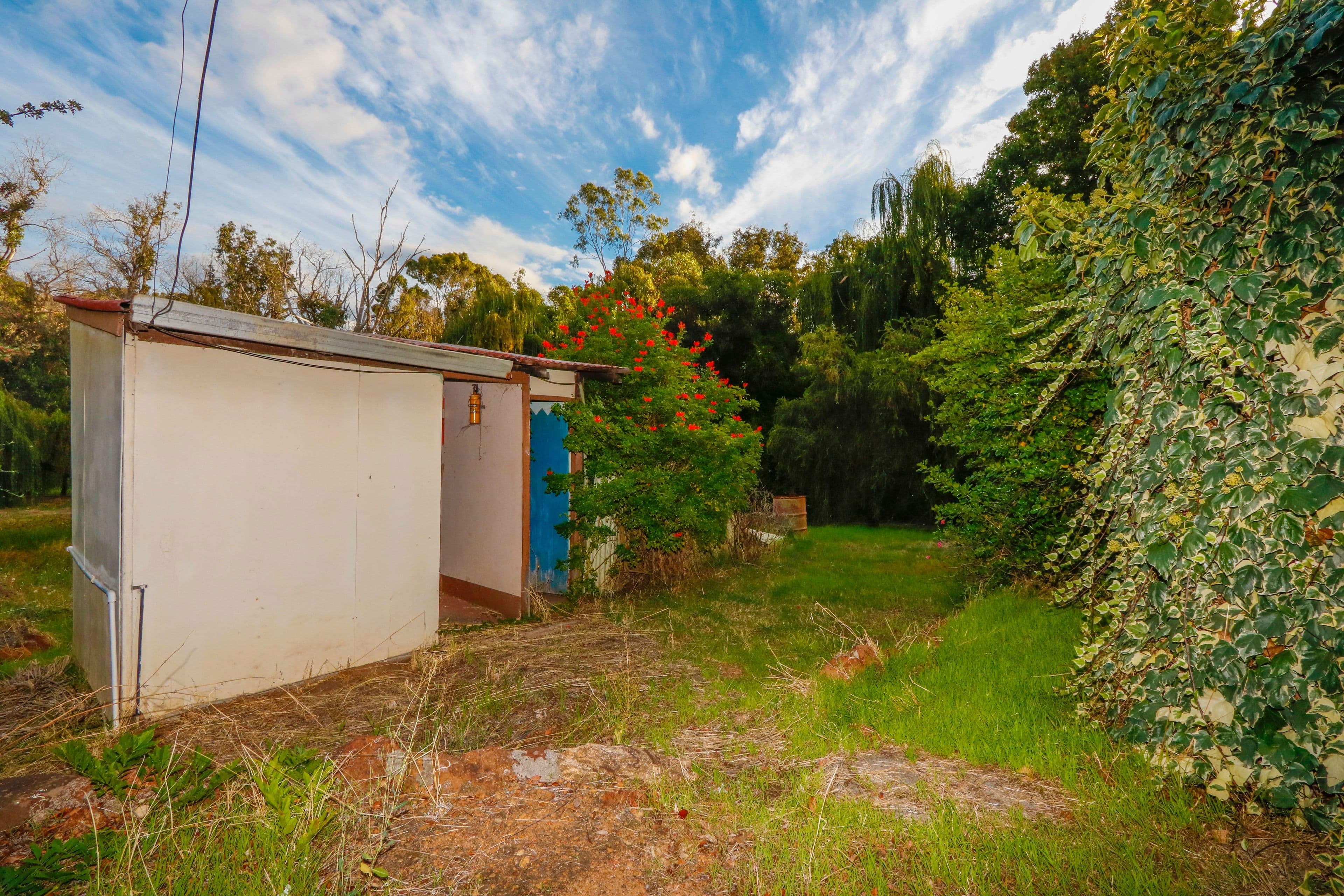 19 Barlee Street, Bridgetown WA 6255, Bridgetown - Thumbnail 8