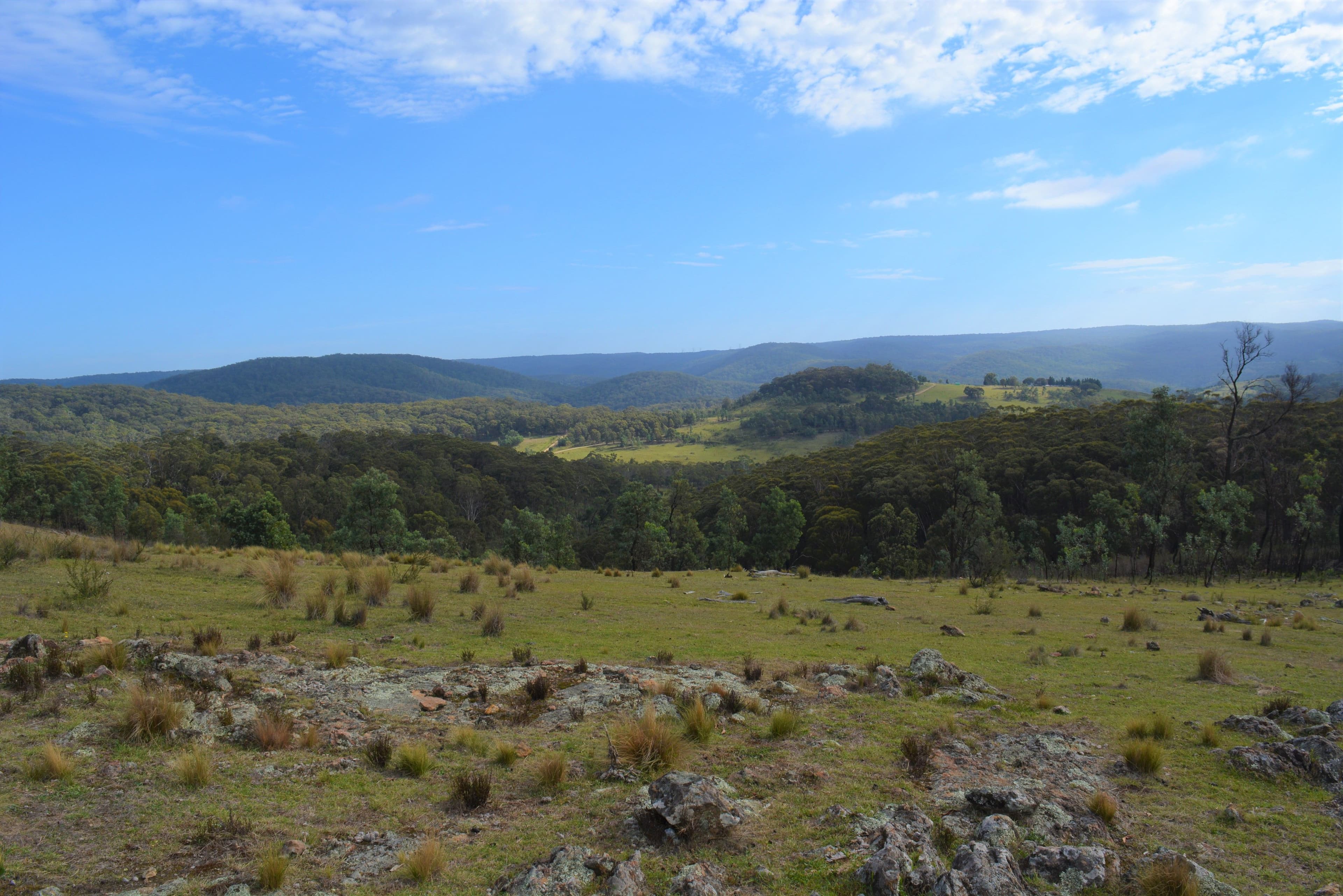 Lot 96 Mares Forest Road, Taralga NSW 2580, Taralga - Image 1