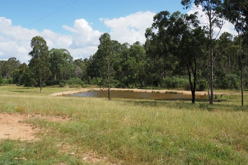 4275 Maryborough Biggenden Road, Aramara QLD 4620, Aramara - Thumbnail 2