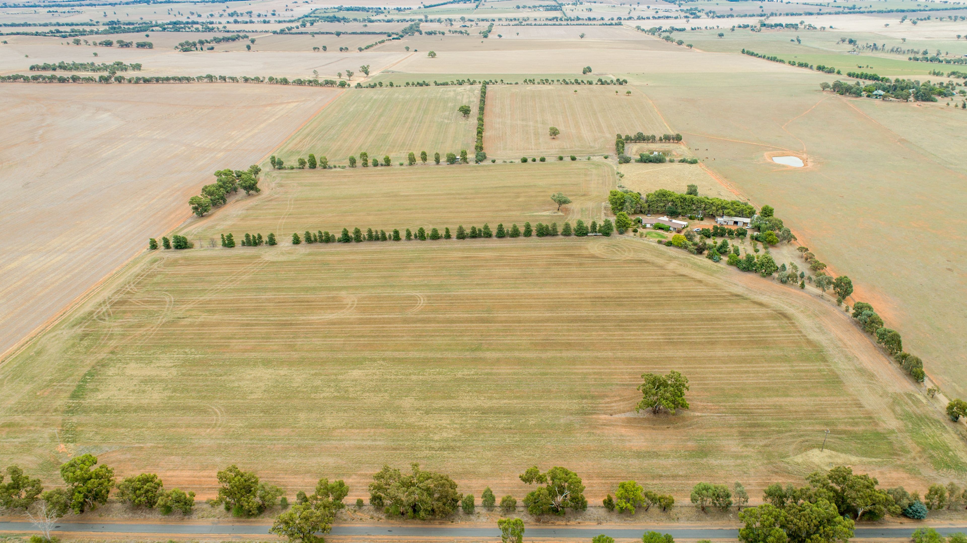 621 Coursing Park Road, Downside NSW 2650, Downside - Thumbnail 2
