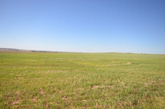 "Hogbens" Lot 494 Sings Road, Manoora SA 5414, Manoora - Thumbnail 7